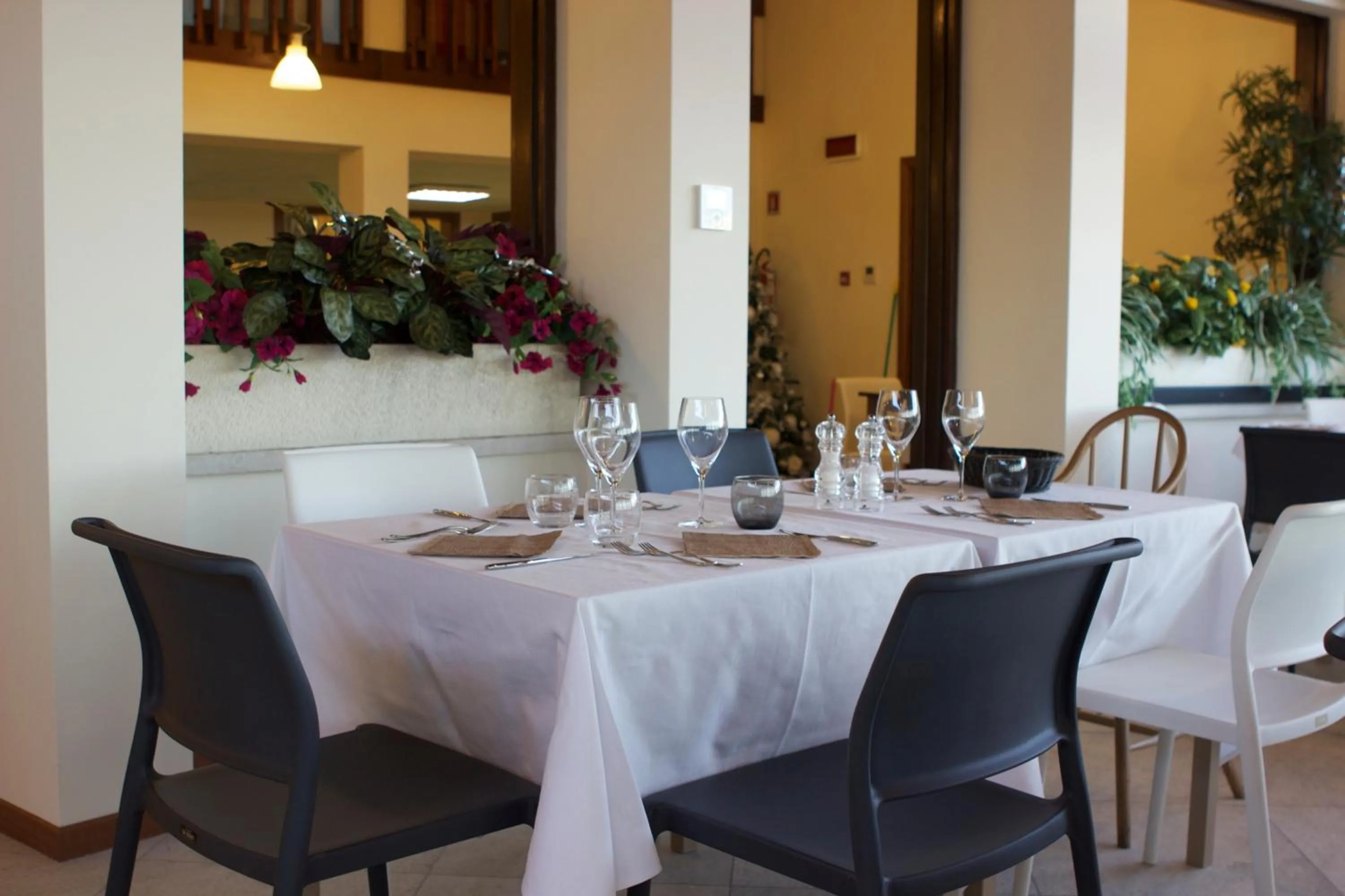Restaurant/places to eat in Hotel Belvedere