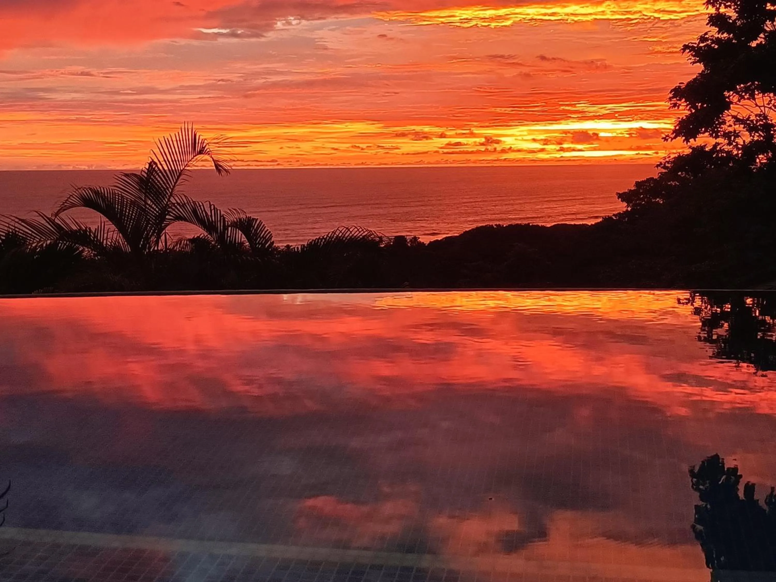 Swimming pool in Vista Naranja Ocean View House