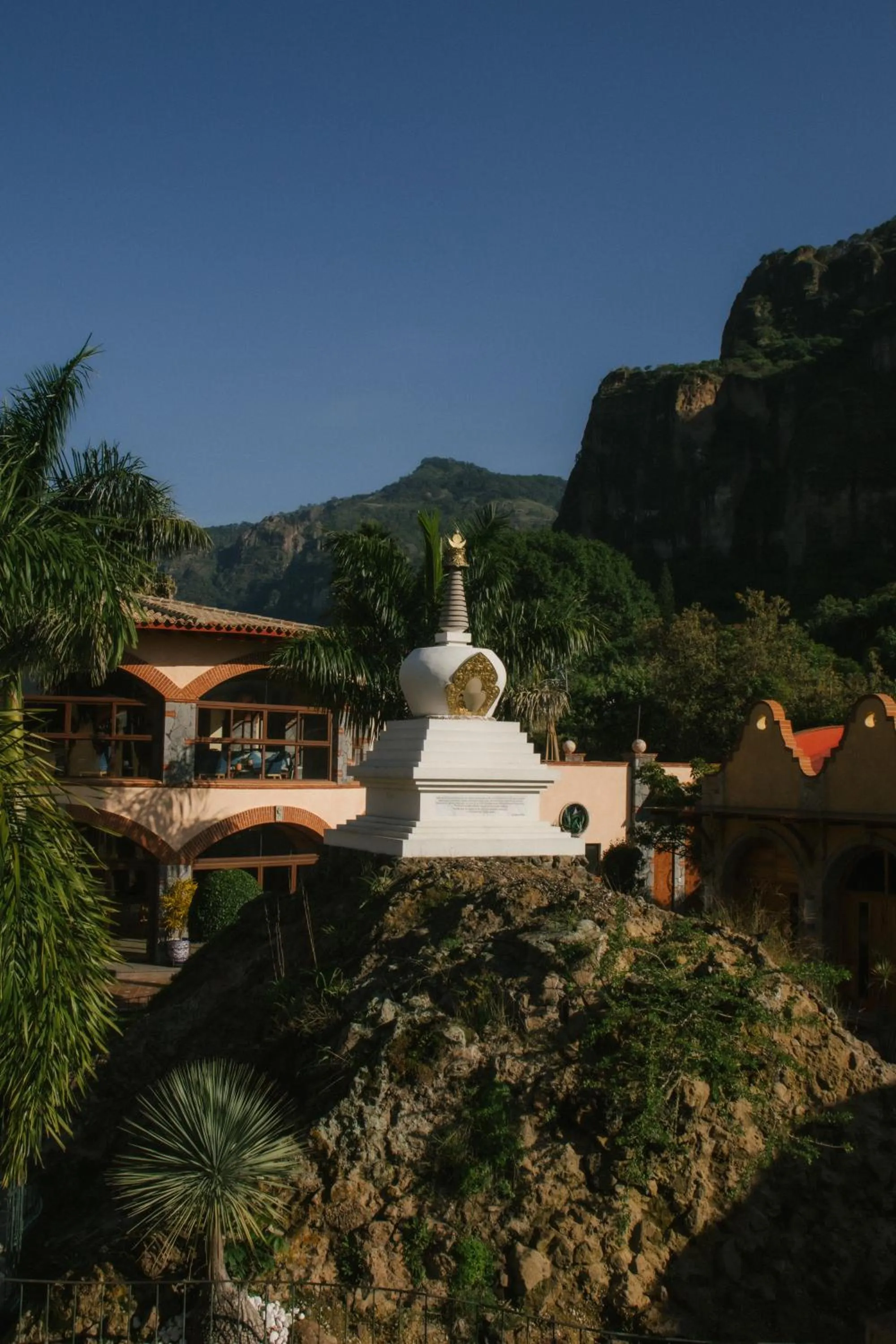 Natural landscape in La Buena Vibra Wellness Resort & Spa