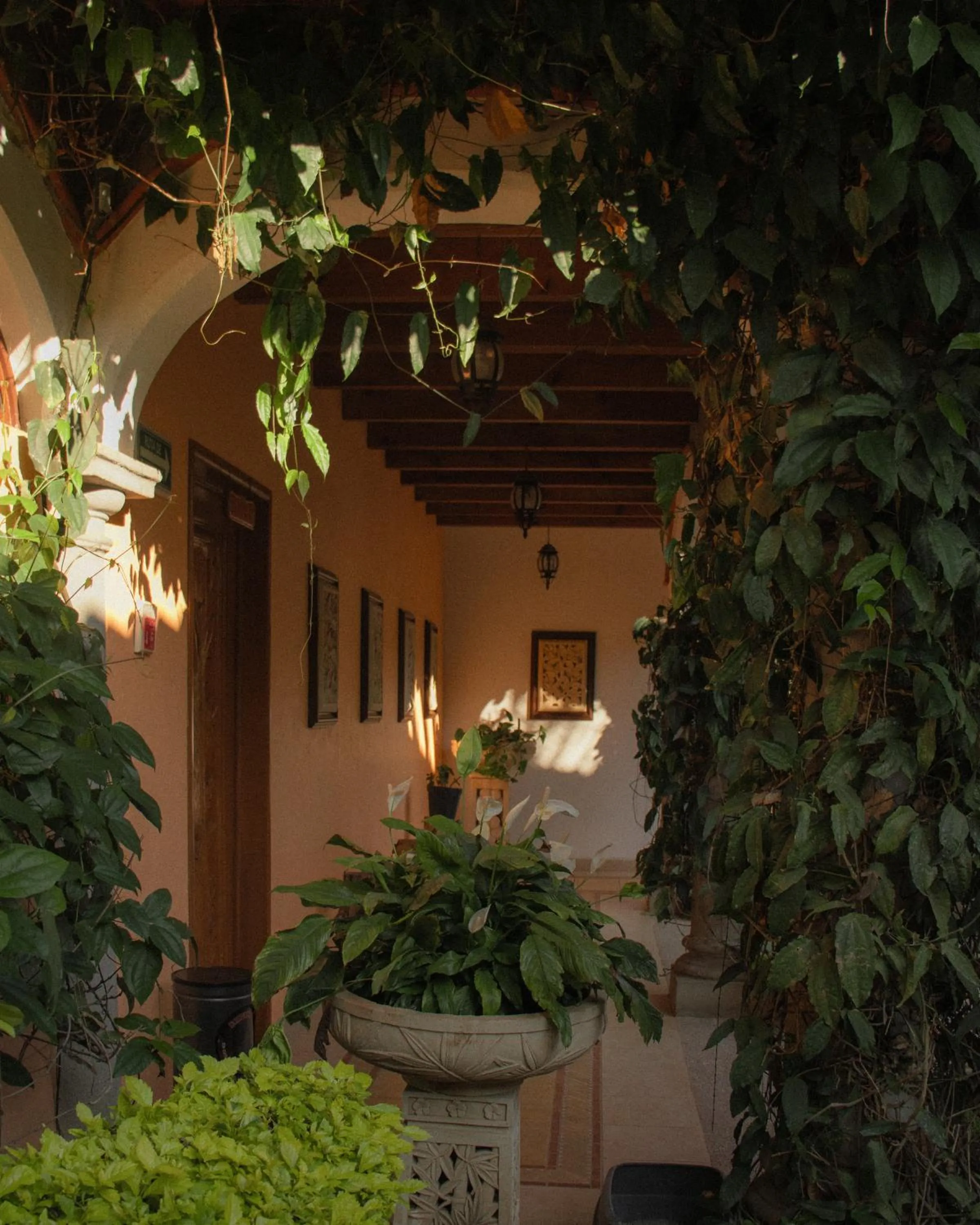 La Buena Vibra Wellness Resort & Spa