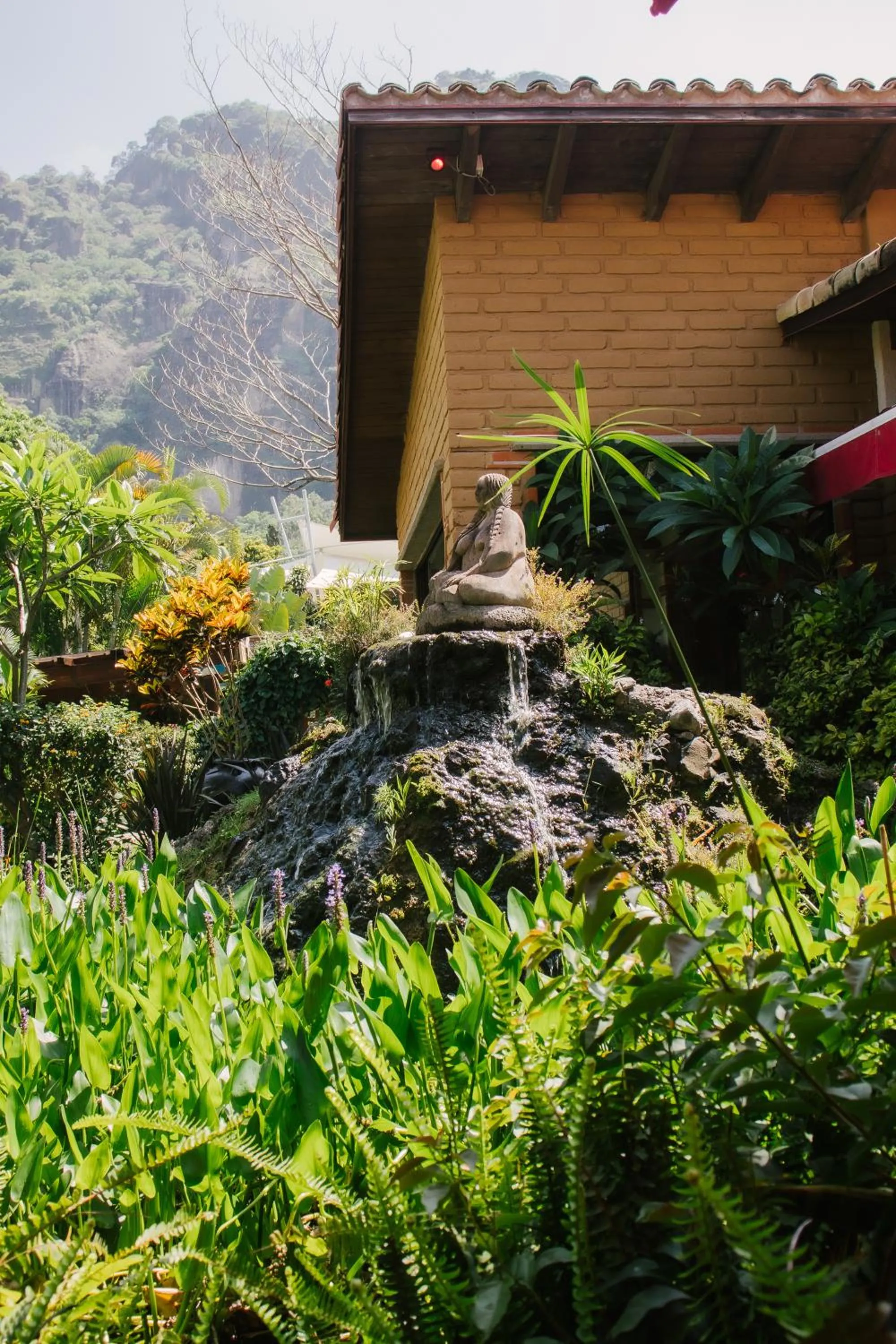 La Buena Vibra Wellness Resort & Spa