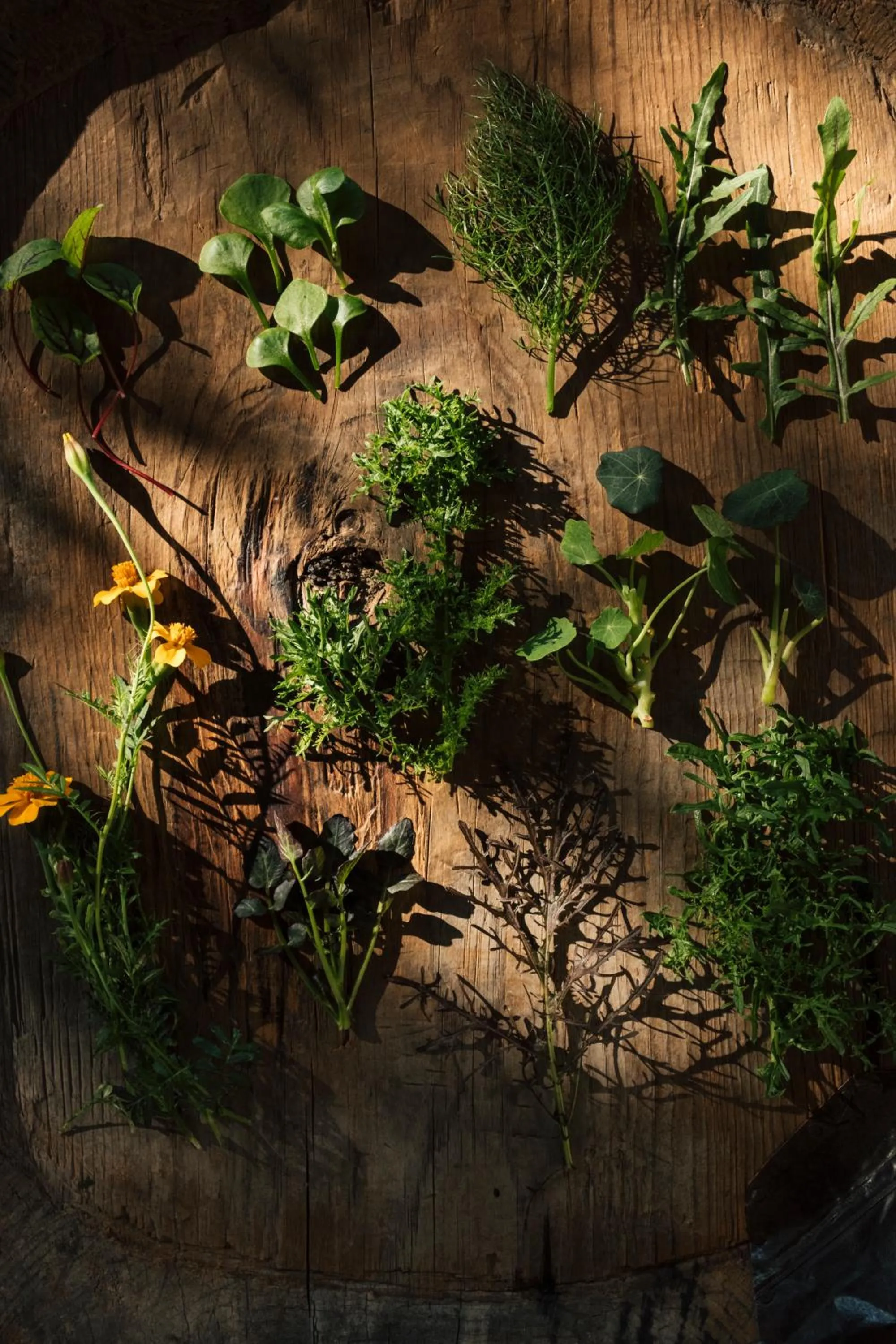 Casa Lavanda Boutique Hotel