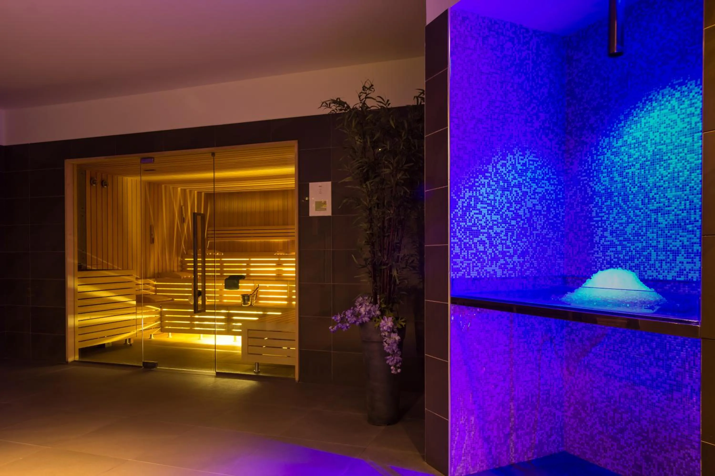 Sauna, Bed in Royal Palm Resort & Spa - Adults Only