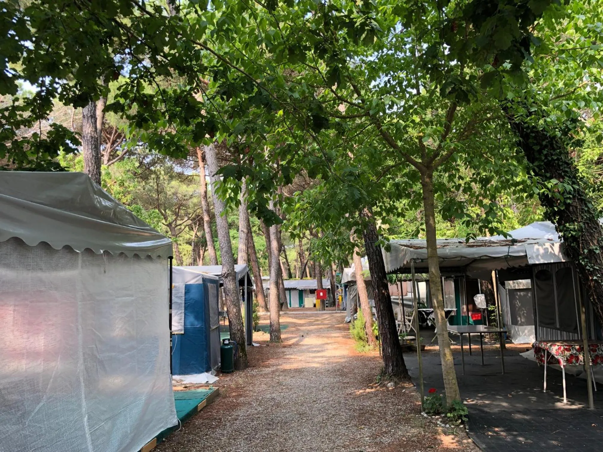 Garden in Club del Sole Marina Romea Easy Camping Village