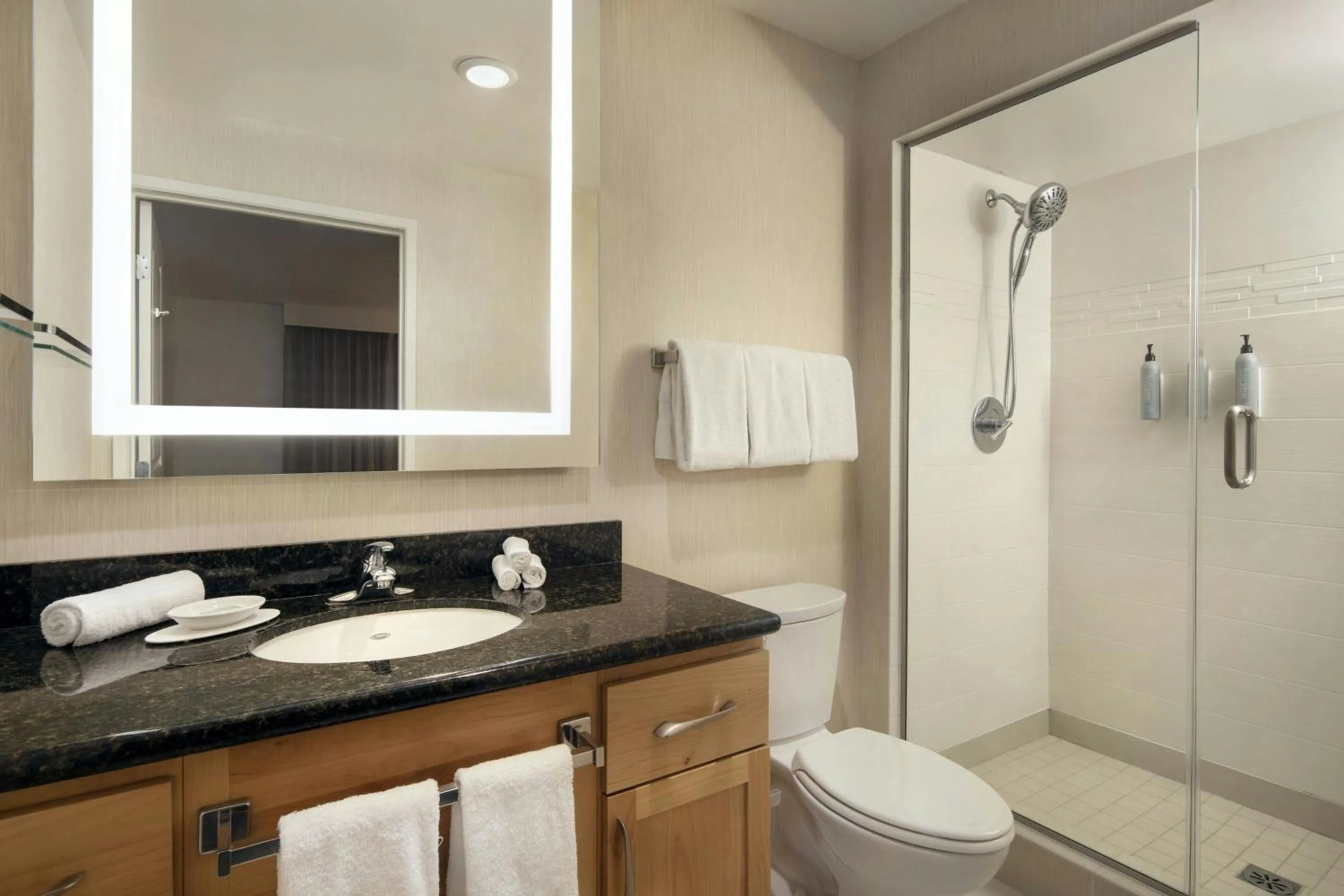 Bathroom in Residence Inn San Diego Del Mar