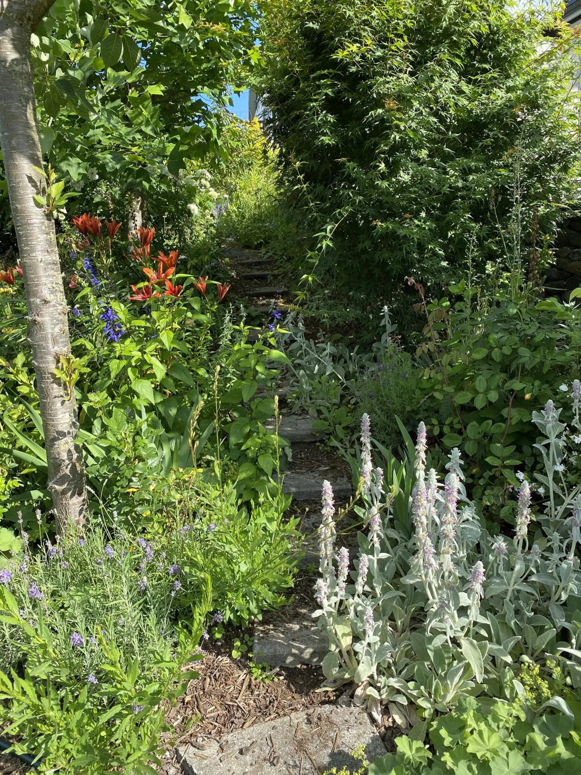 Garden in Treghan Luxury Lodge