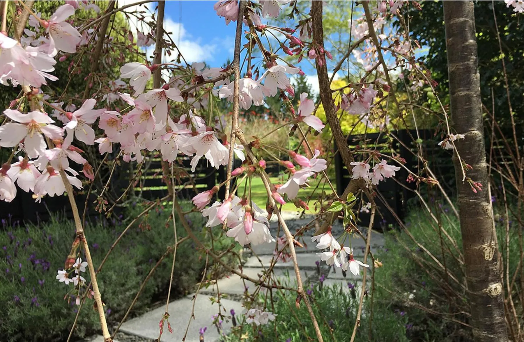 Garden in Treghan Luxury Lodge