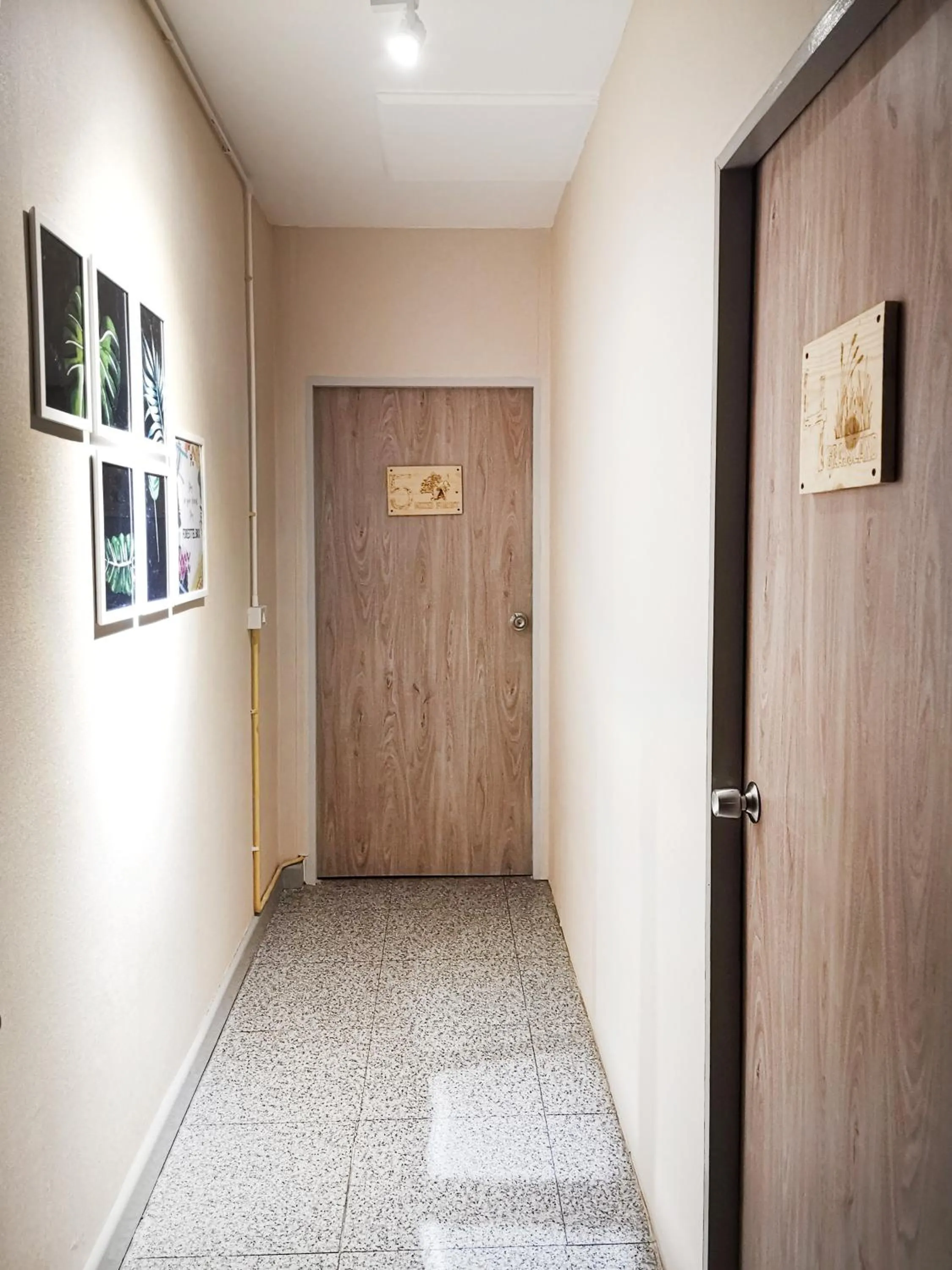 Other in FORESTTEL.BKK