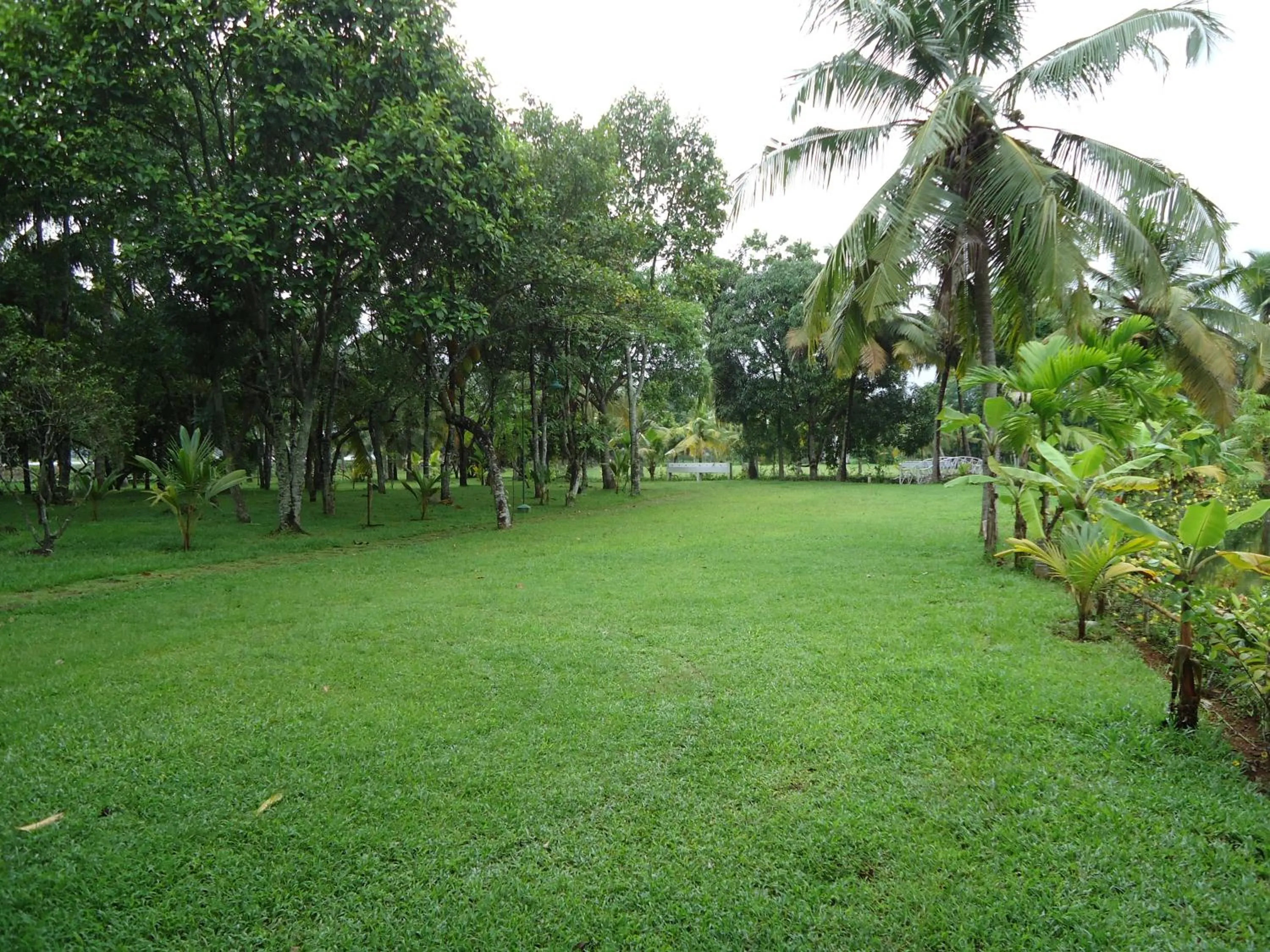 On site in The Windsor Castle