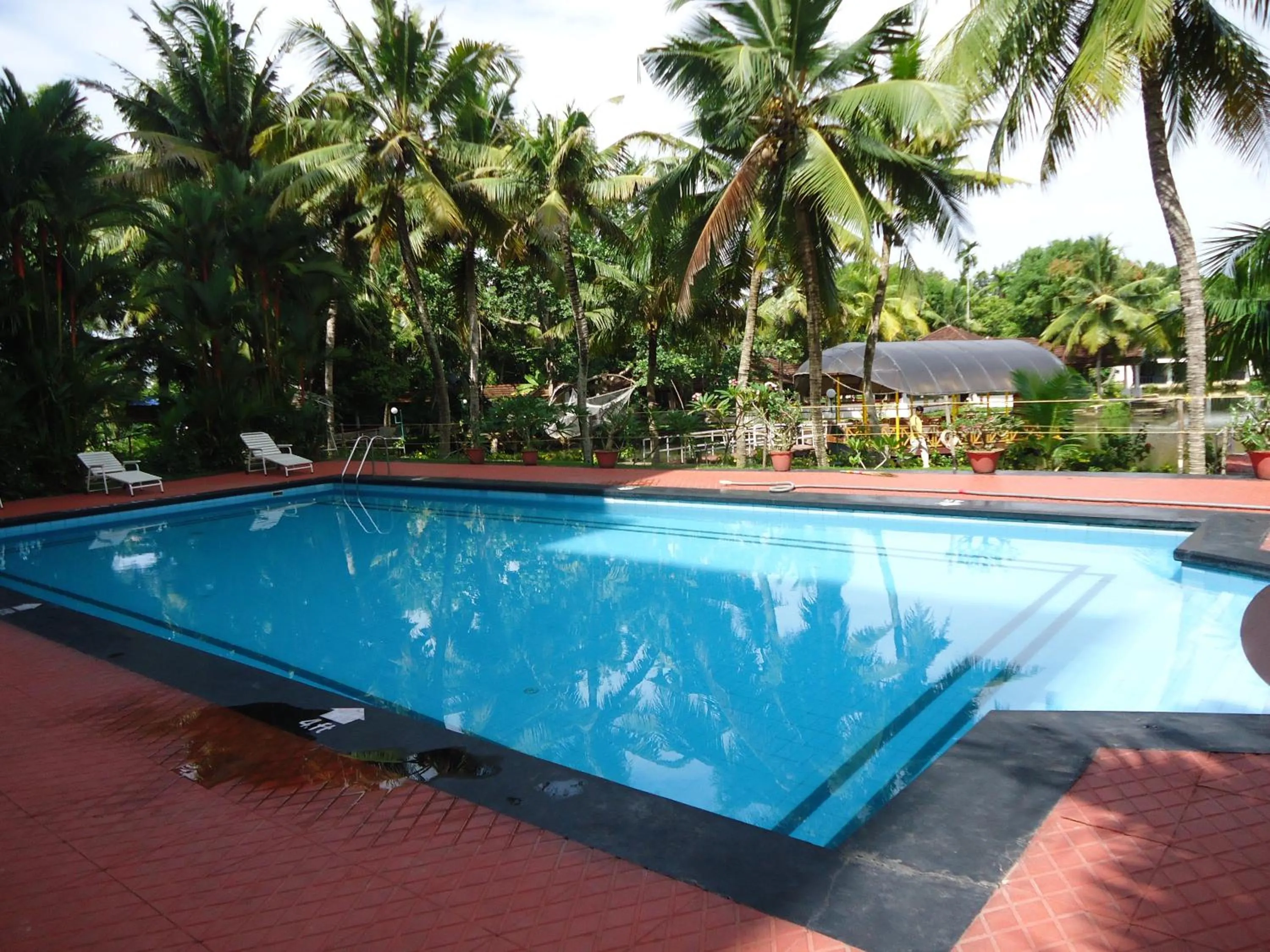 Swimming pool in The Windsor Castle