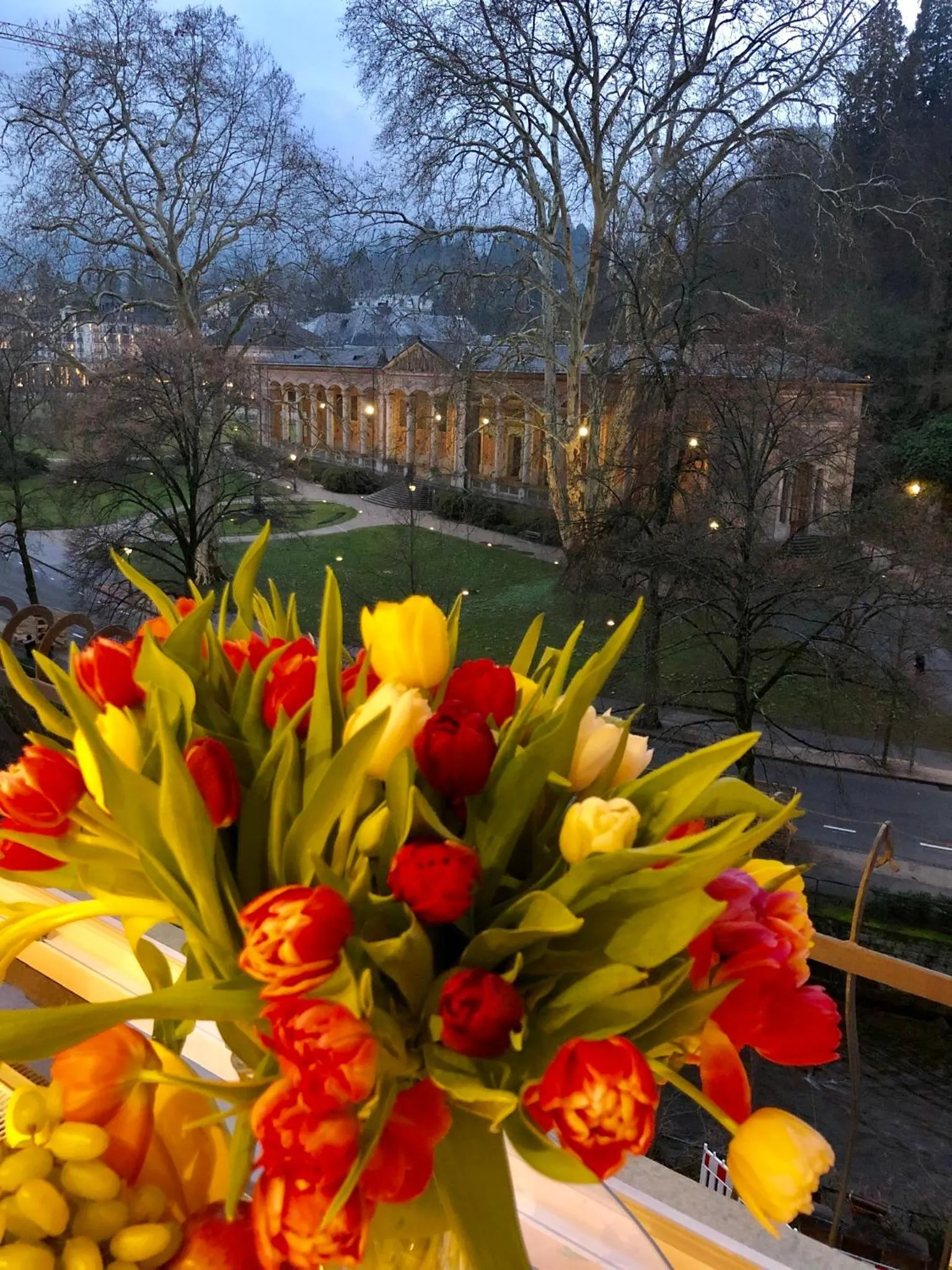 Natural landscape in Reichel-Appartements