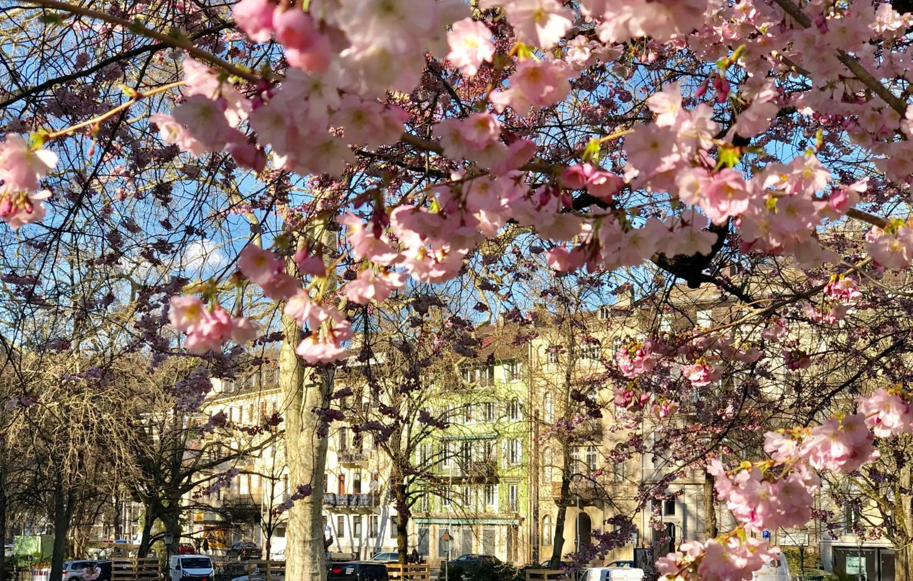Facade/entrance in Reichel-Appartements