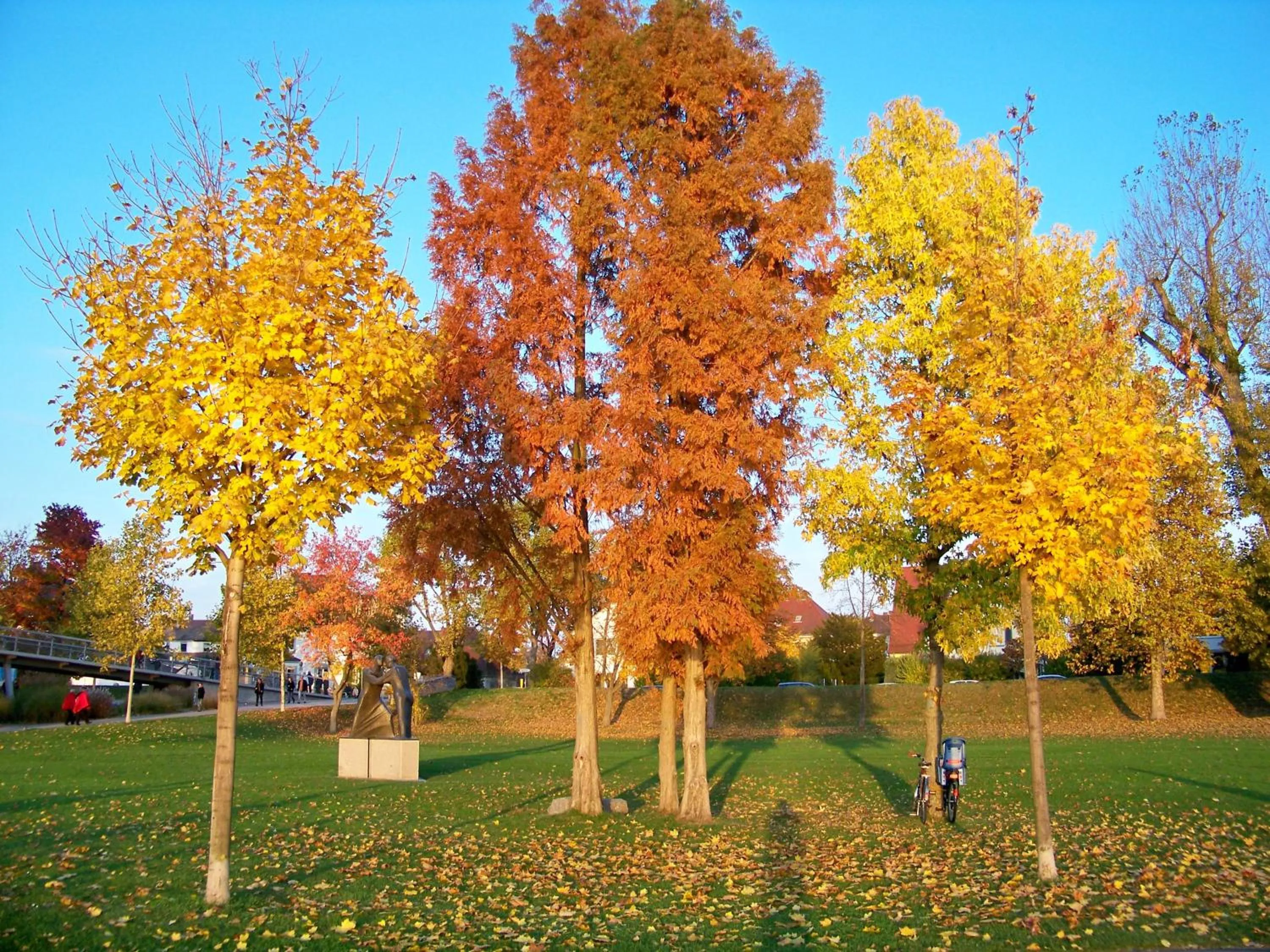 Natural landscape in Badische Landoase