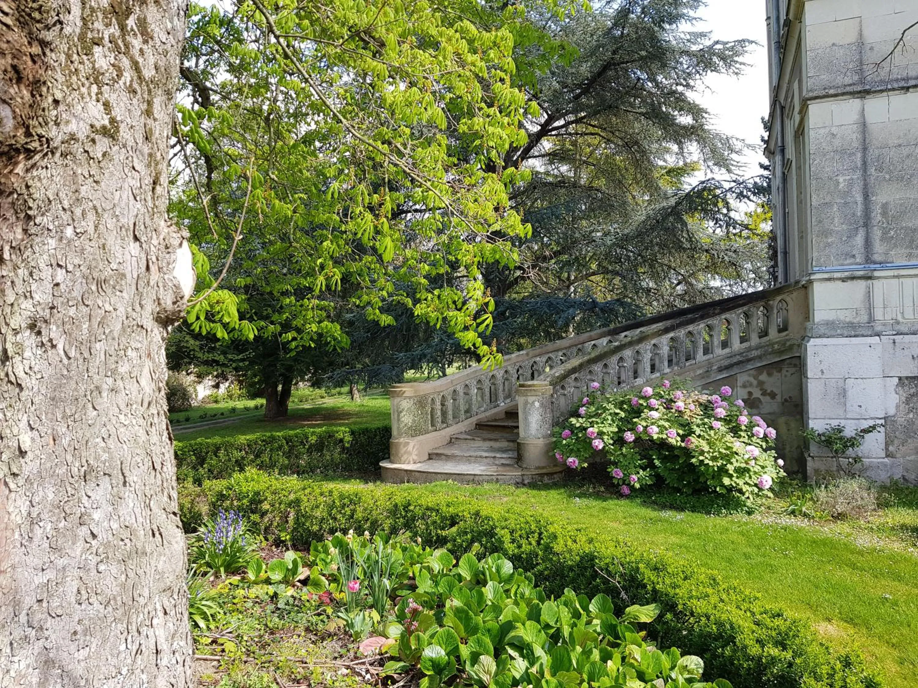 Garden view in Domaine de l'Oie Rouge