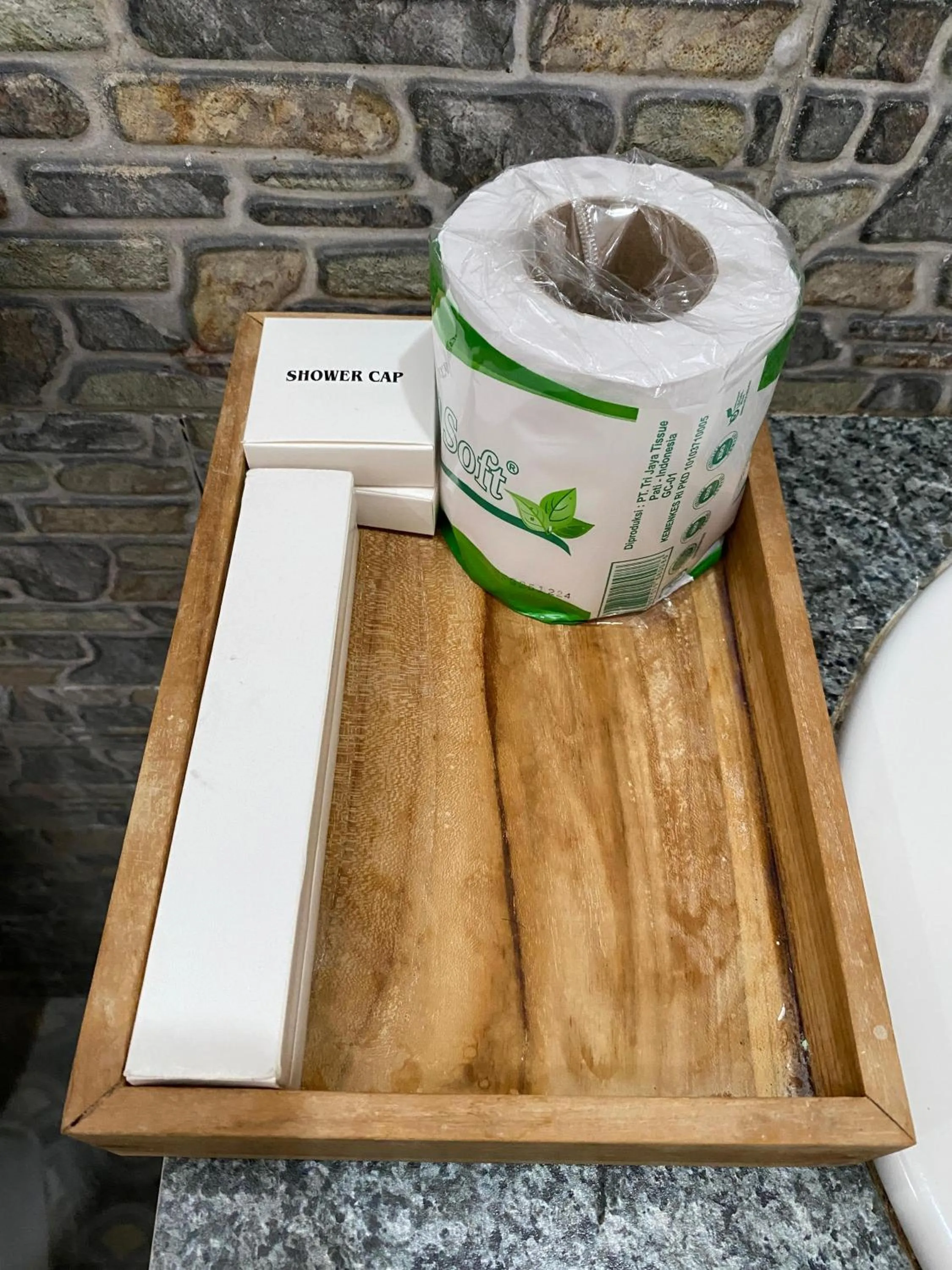 Toilet in Astana House