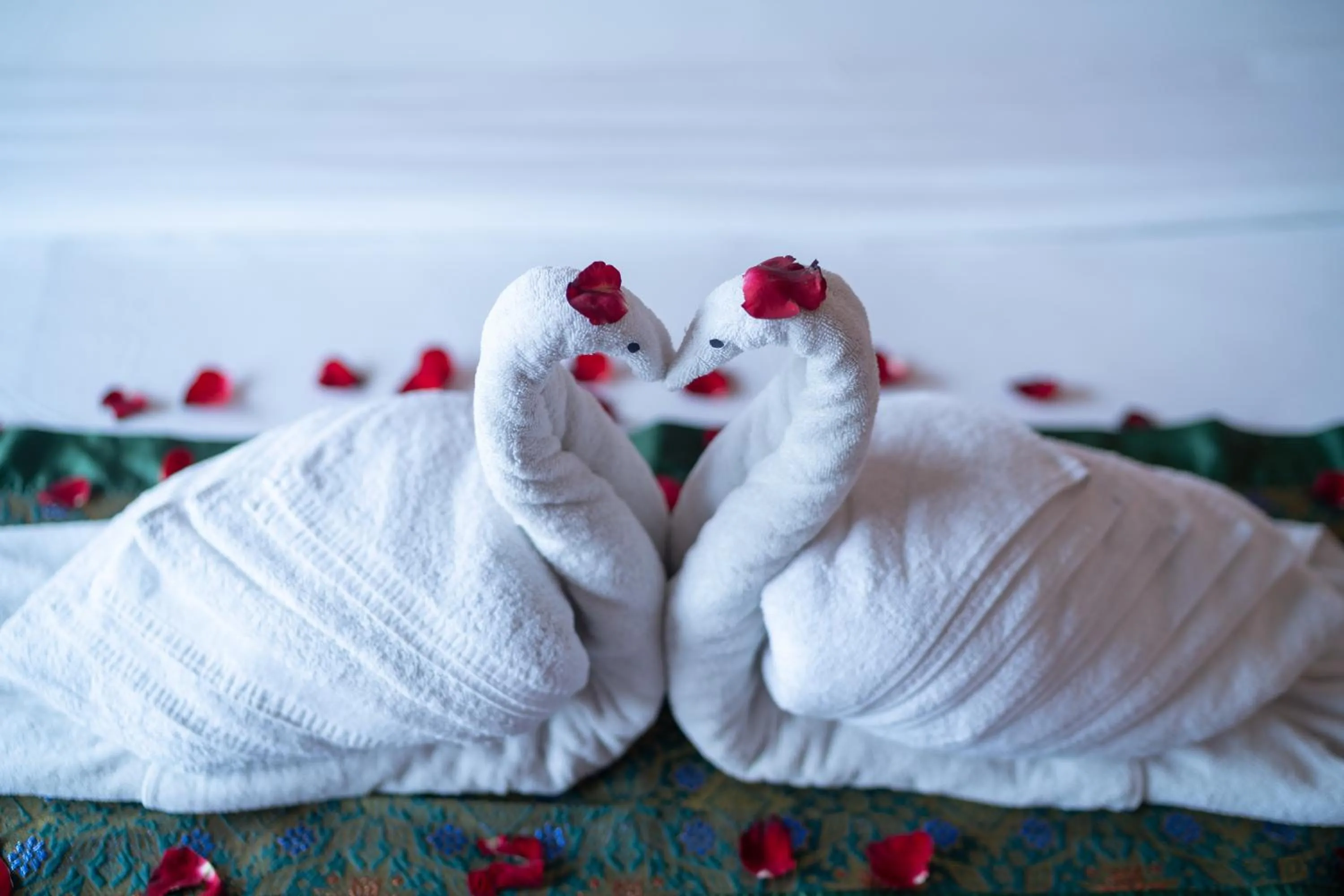 Photo of the whole room in Astana House