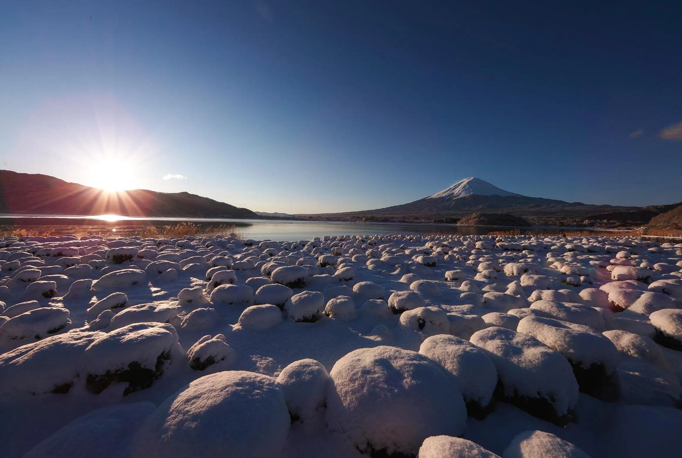 Natural landscape in Fuji View Hotel