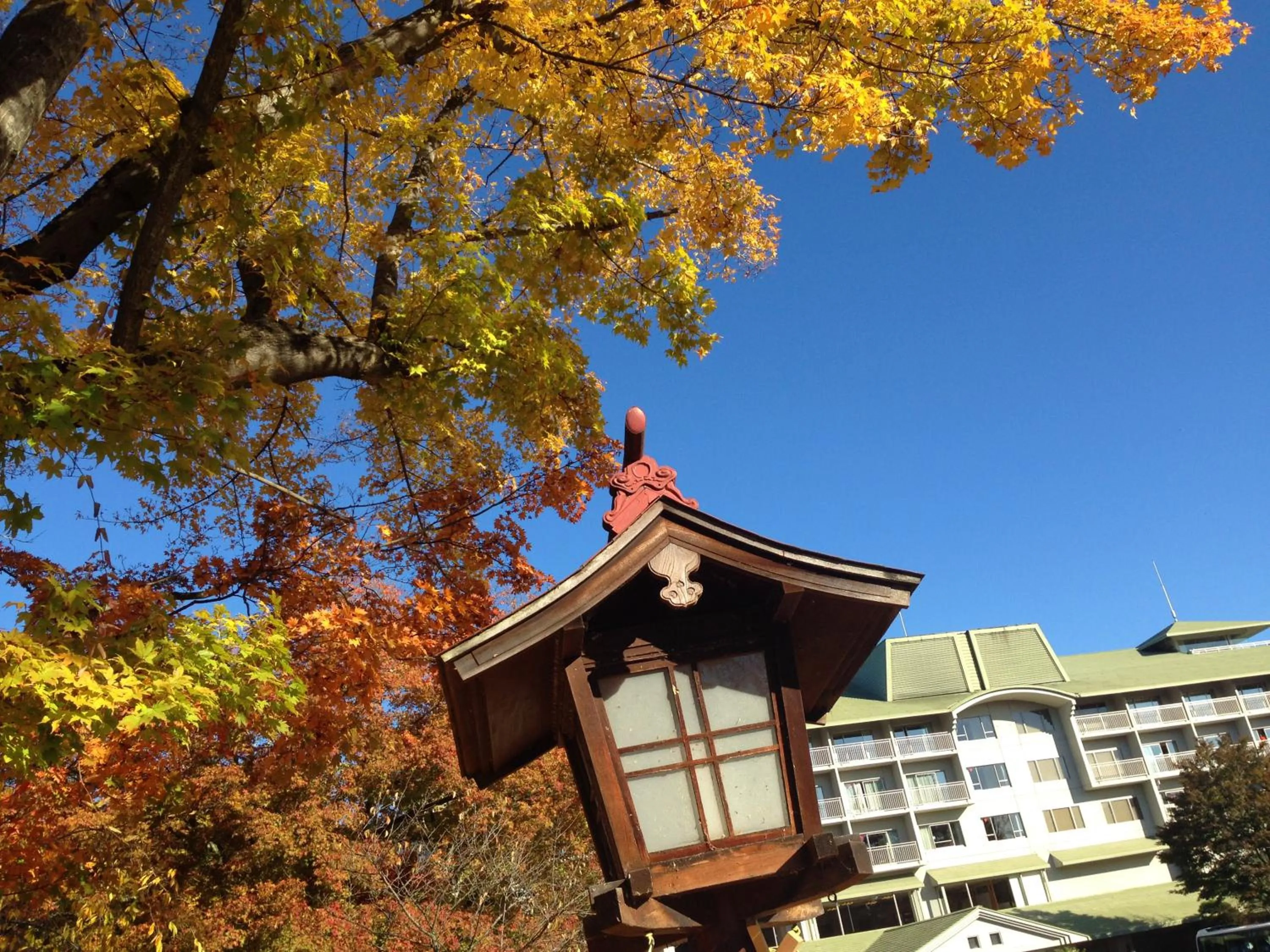 Garden in Fuji View Hotel