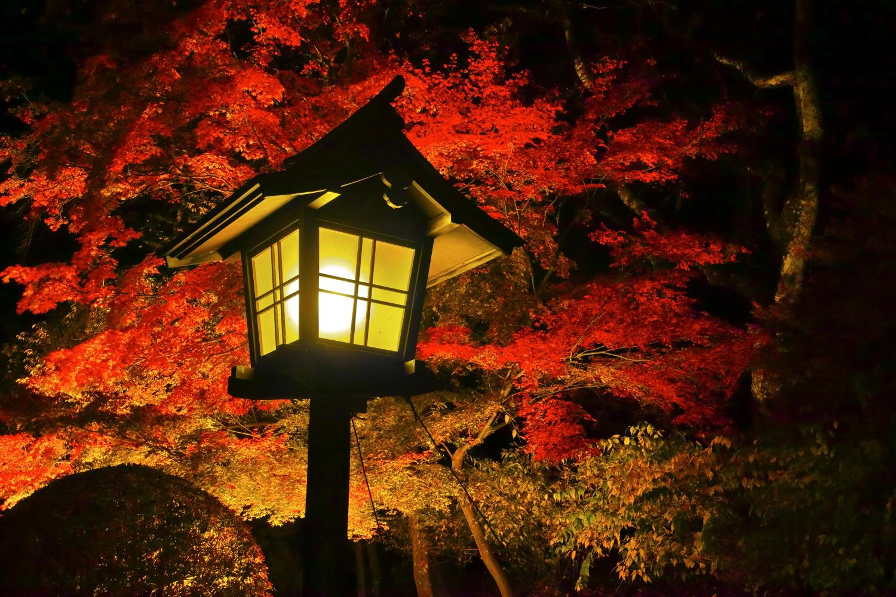 Decorative detail in Fuji View Hotel