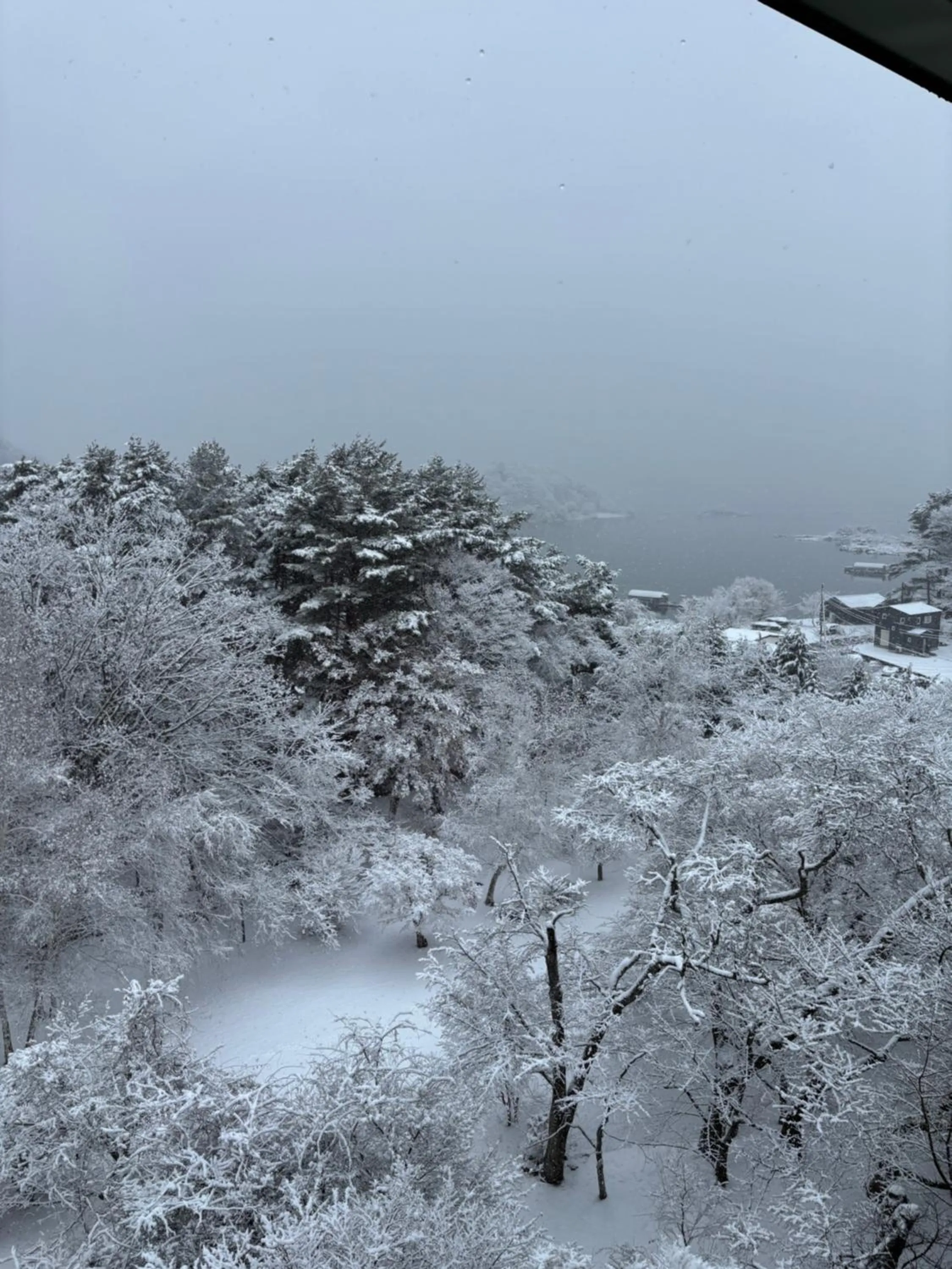 Natural landscape in Fuji View Hotel