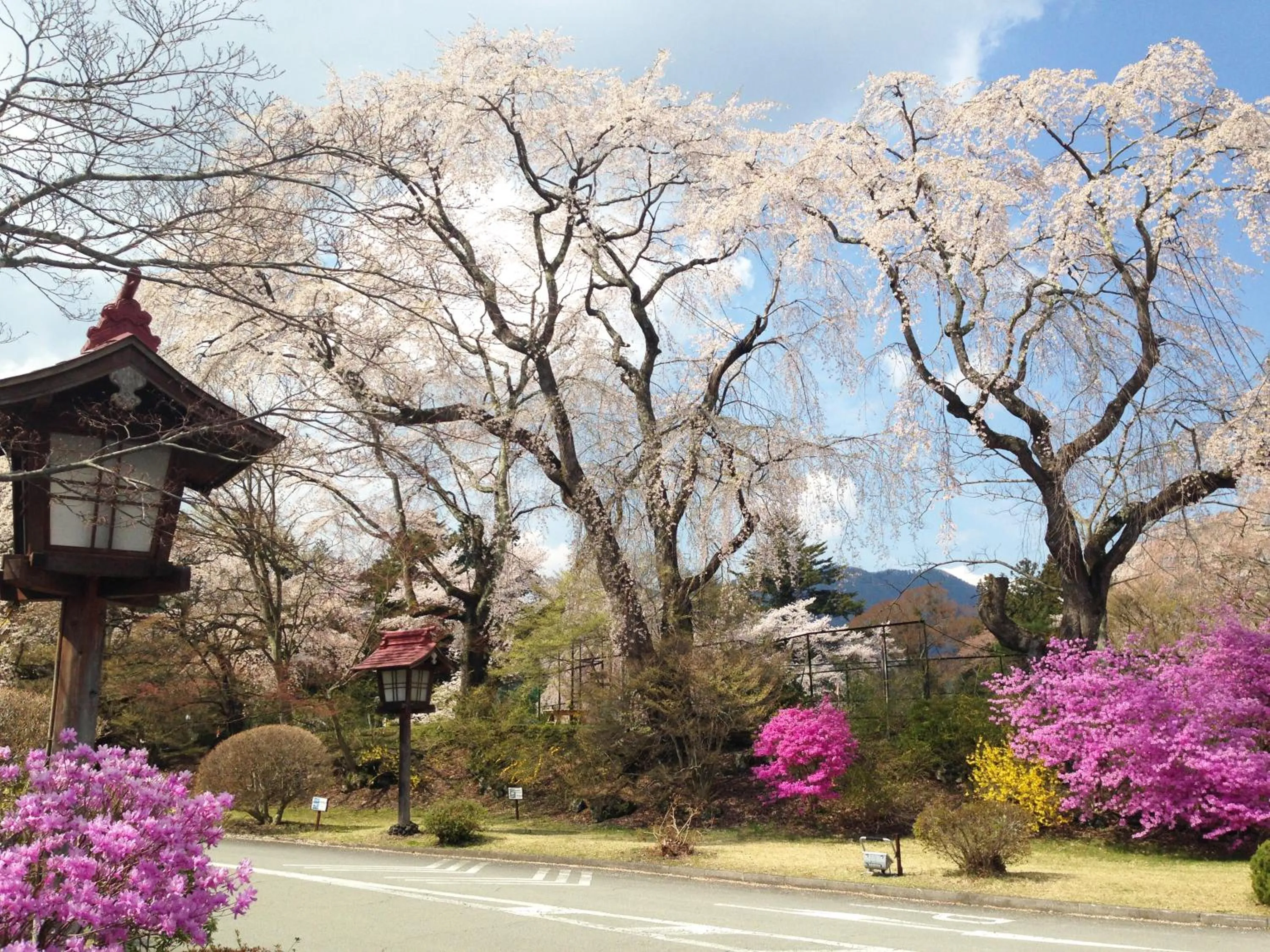Garden in Fuji View Hotel