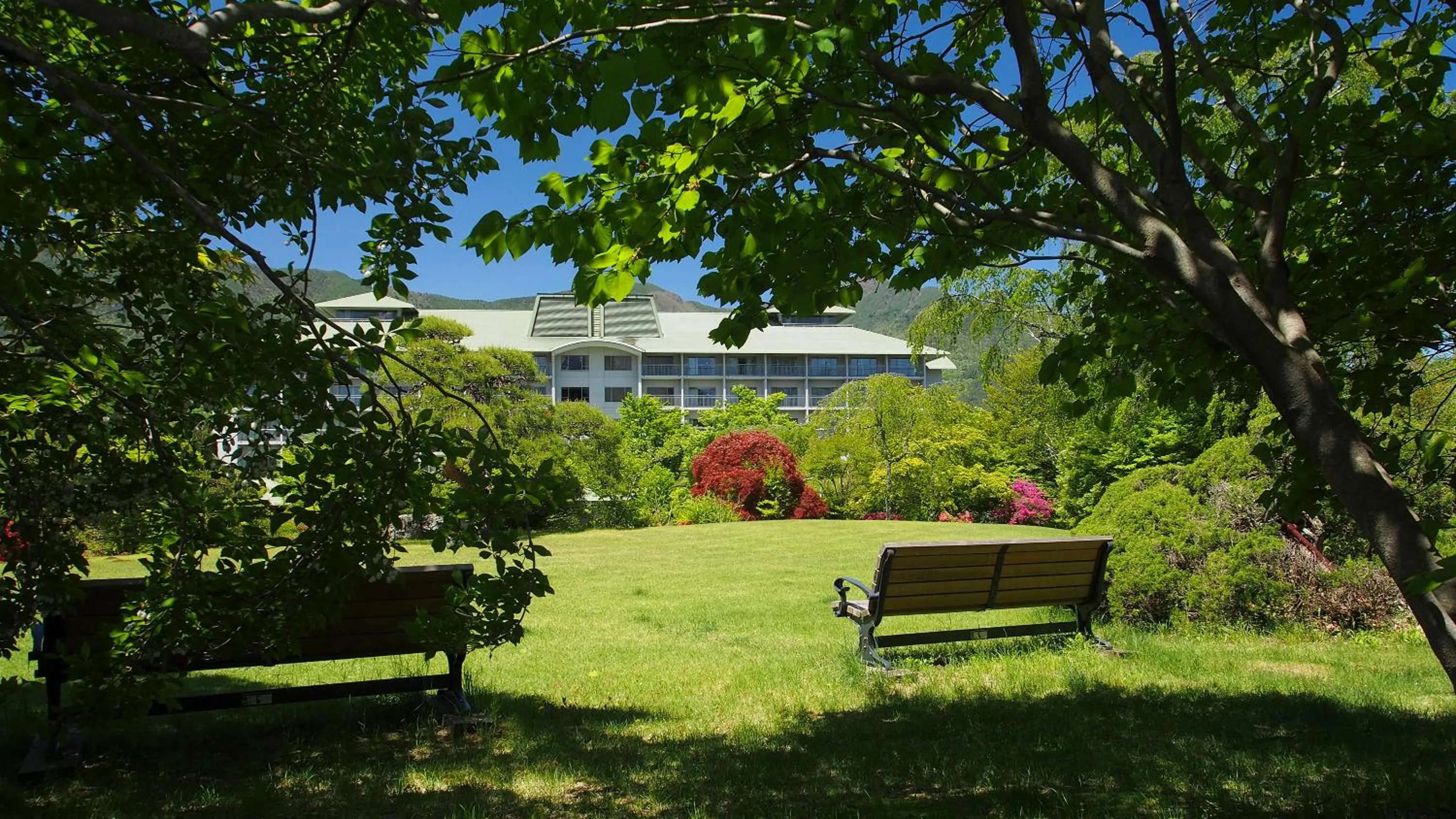 Summer in Fuji View Hotel