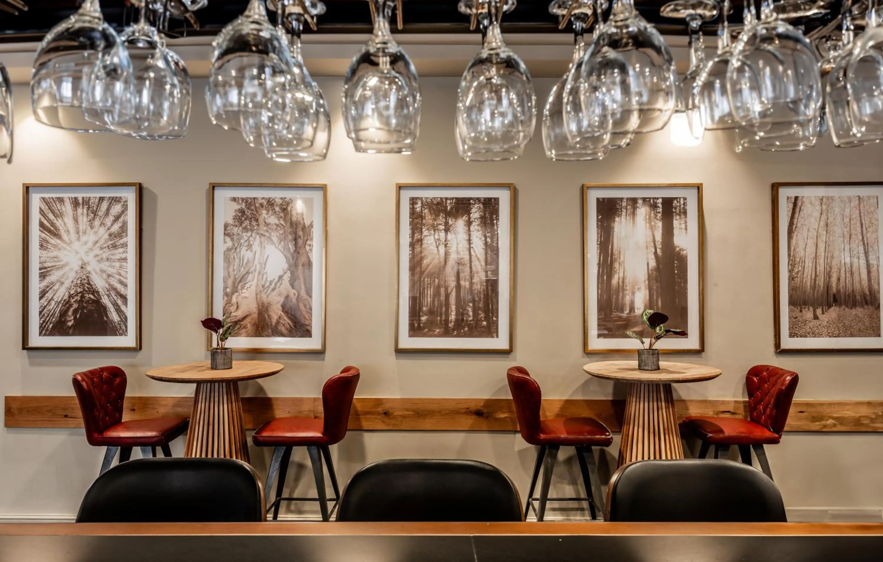 Lounge or bar in Jacob Tiberias