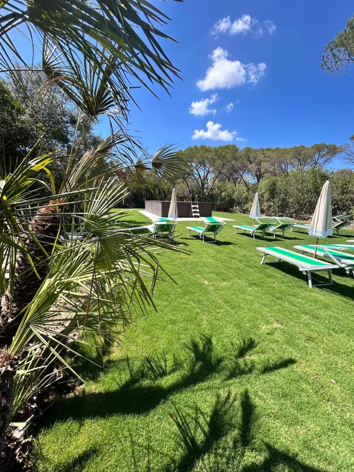 Swimming pool in Hotel Fertilia