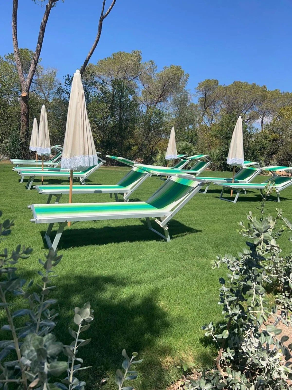 Swimming pool in Hotel Fertilia