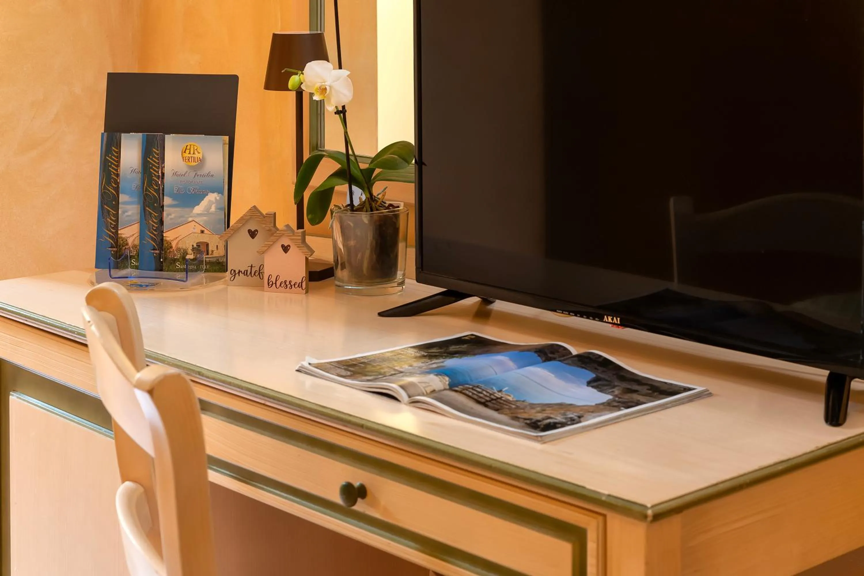 TV and multimedia in Hotel Fertilia