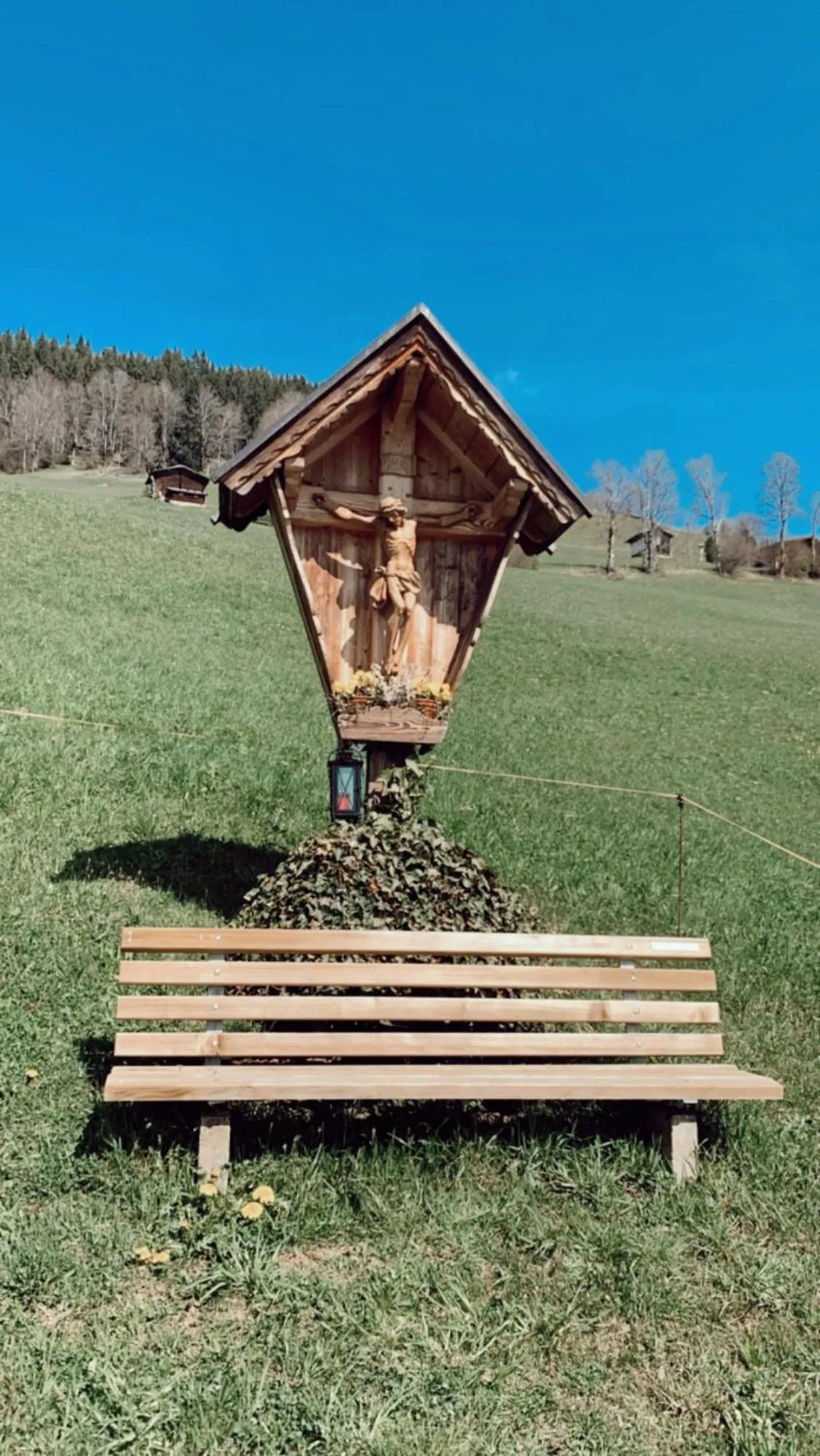 Natural landscape in Appartement Felsenheim
