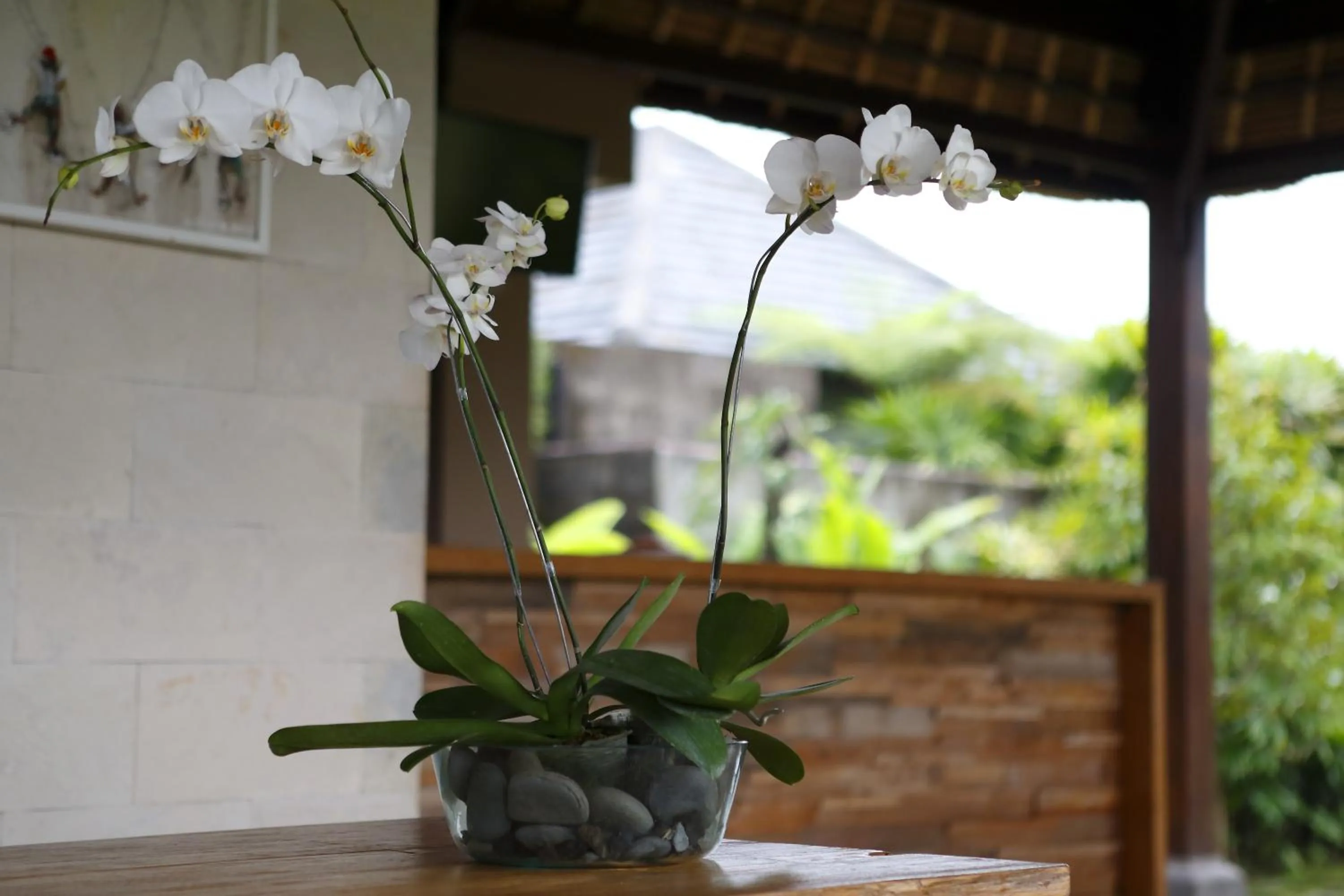 People in Villa Kayu Lama