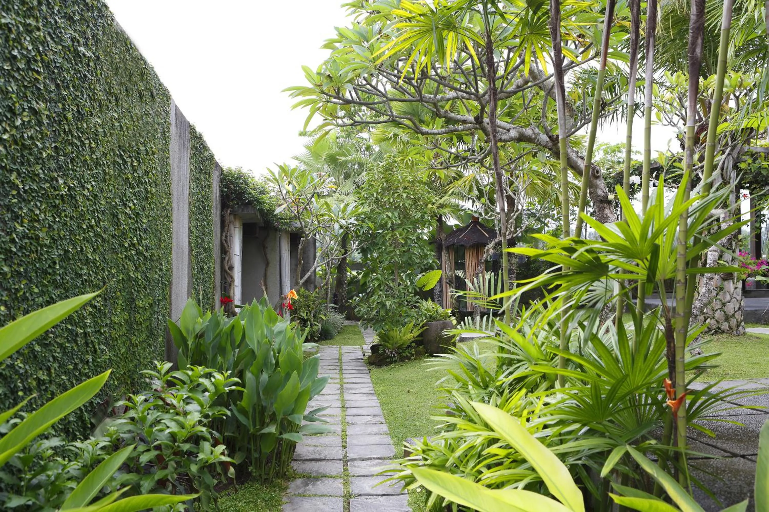 Garden in Villa Kayu Lama