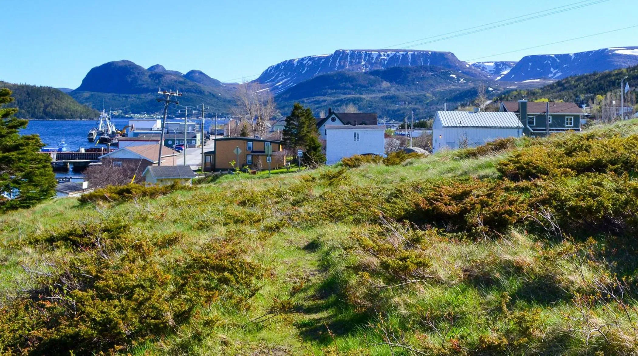 Natural landscape in The Rooms at Woody Point
