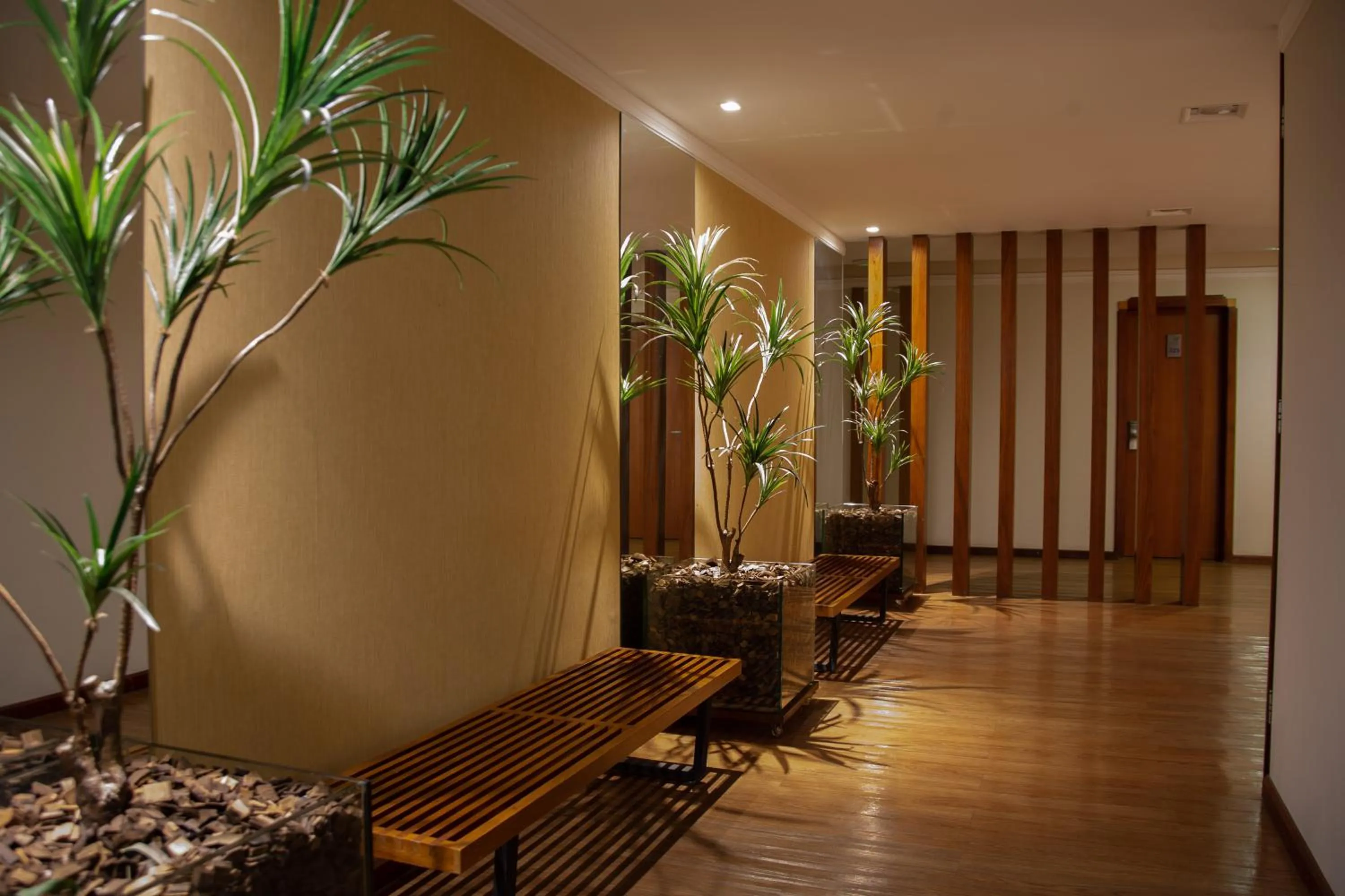 Area and facilities in Mara Turismo Hotel