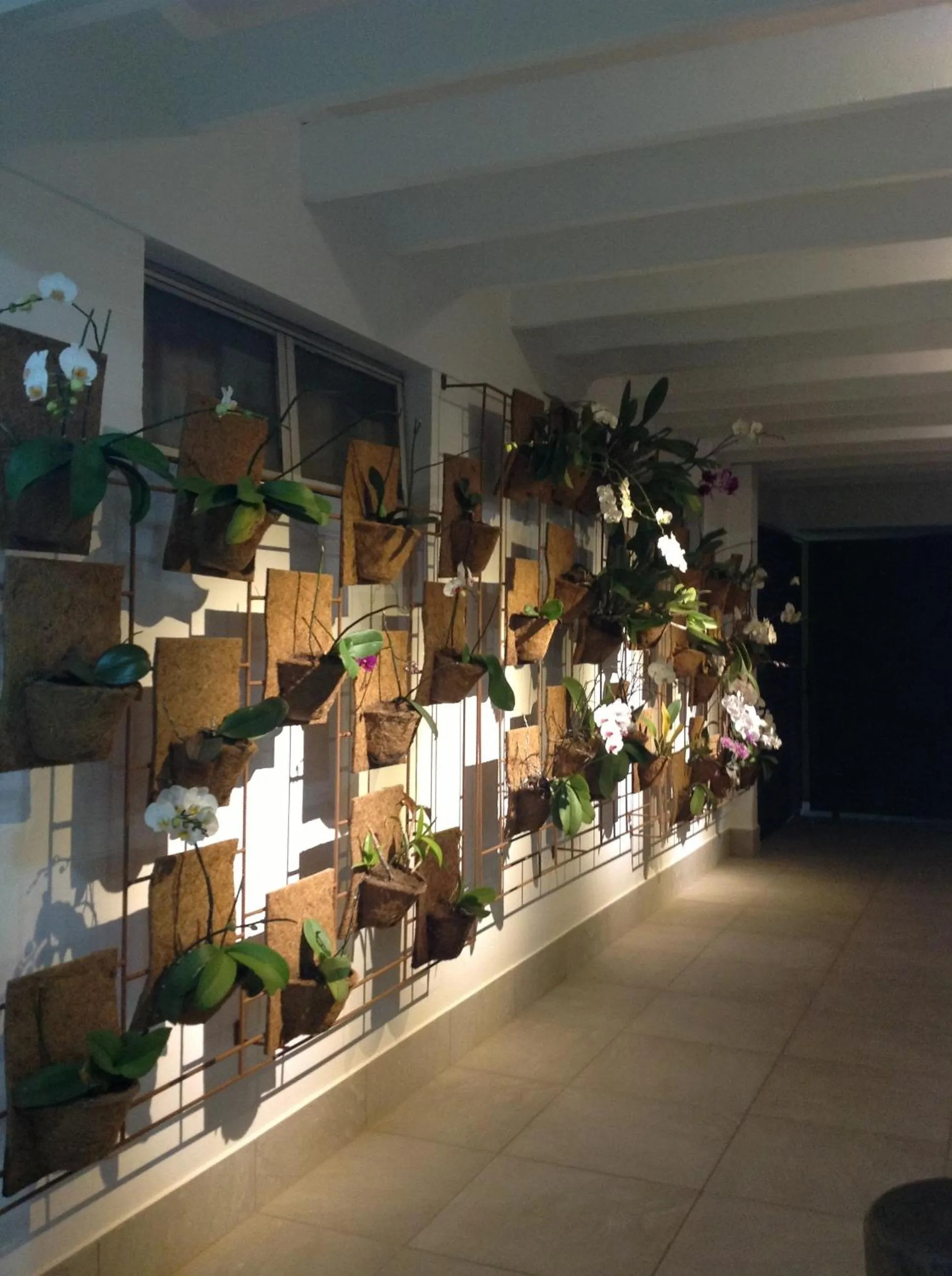 Garden in Mara Turismo Hotel