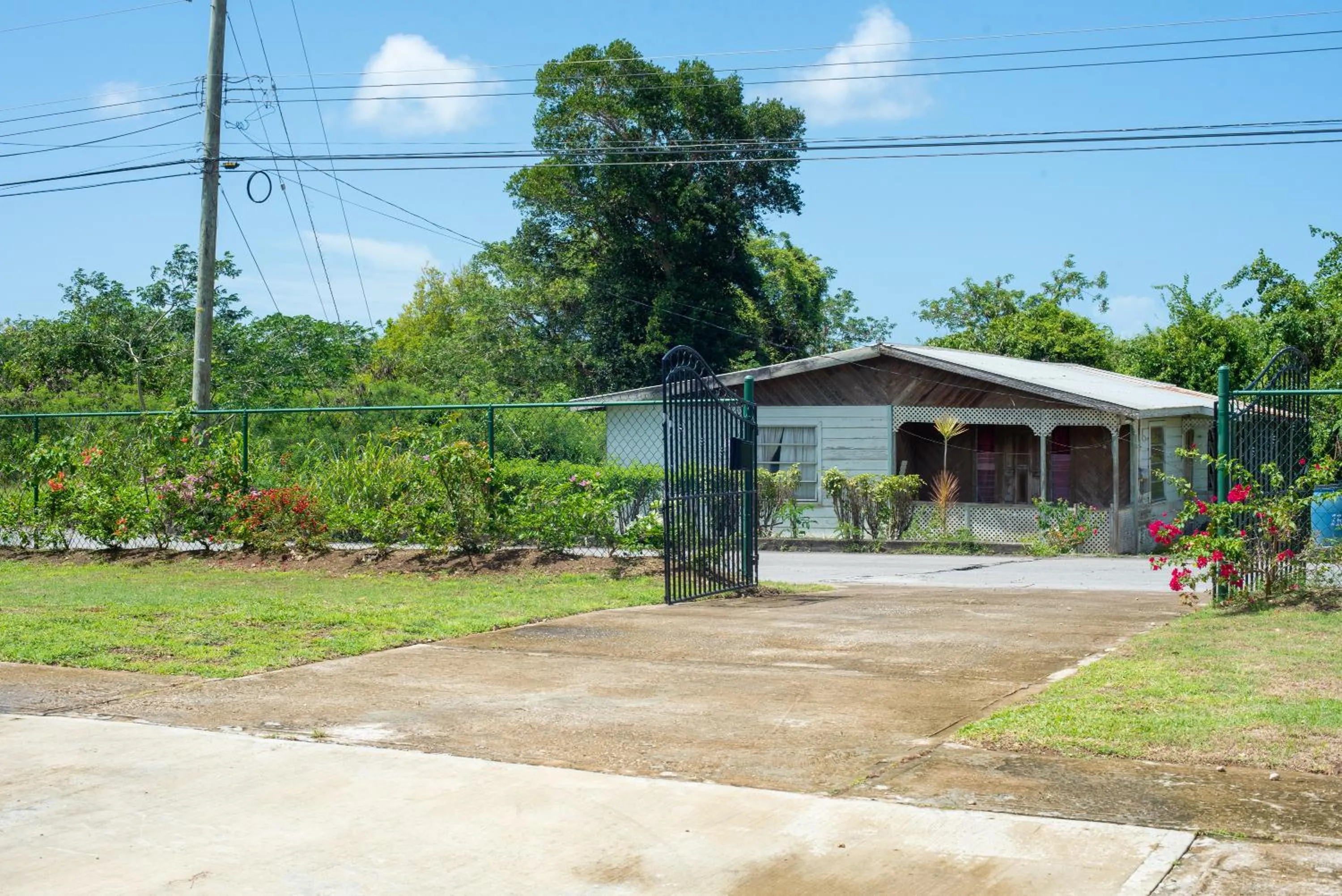 Garden in THE COTTAGE, SAINT DAVIDS