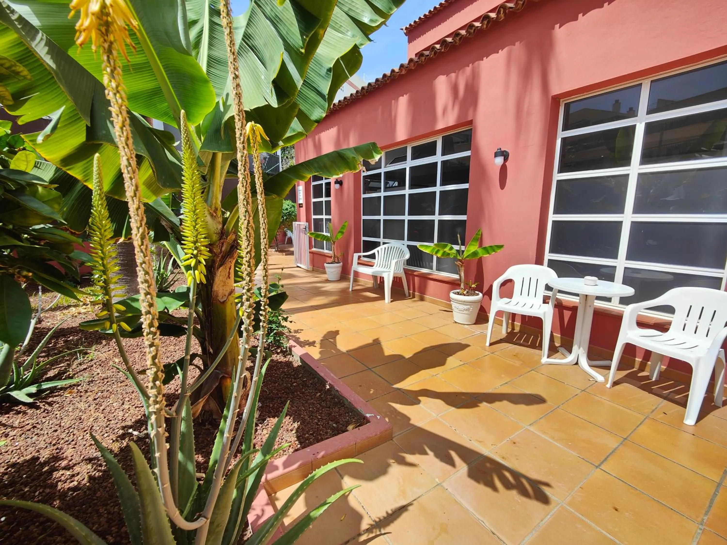 Garden in Hotel Don Cándido