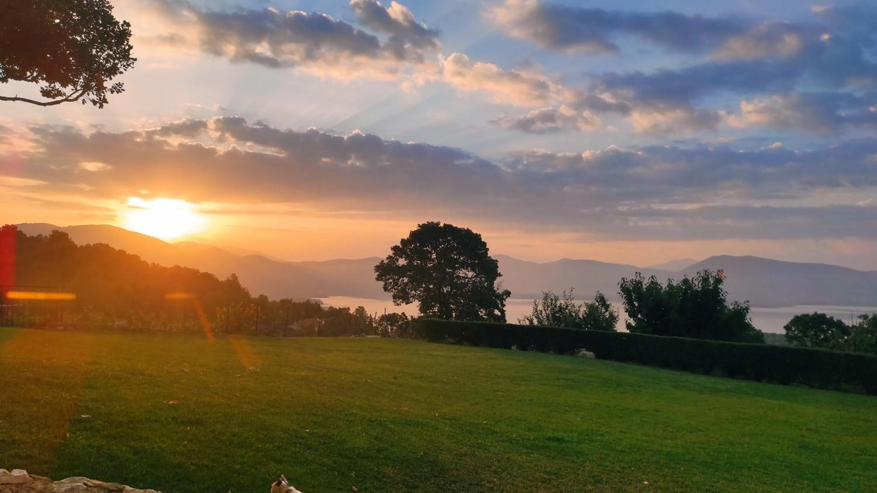 Garden in Enastron View Hotel