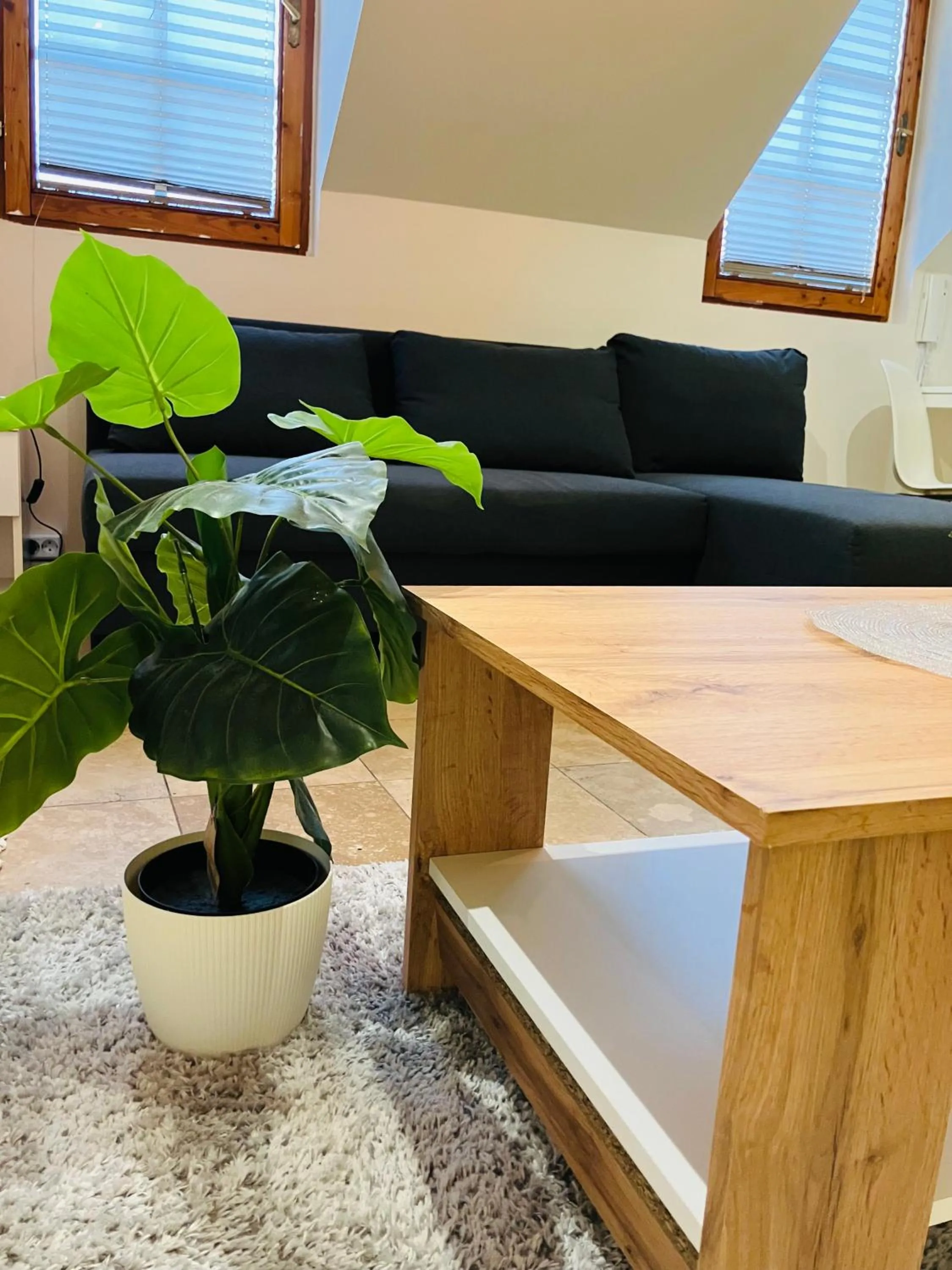 Downtown Apartments DeLuxe