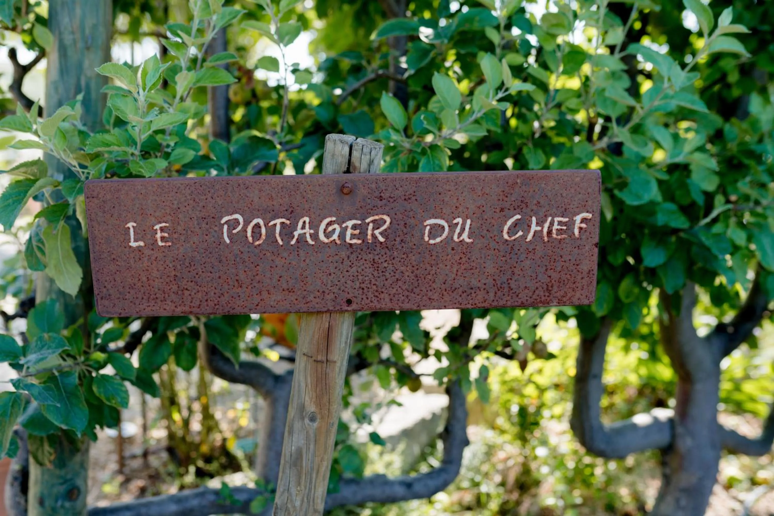 Garden in Coquillade Provence - Relais & Châteaux