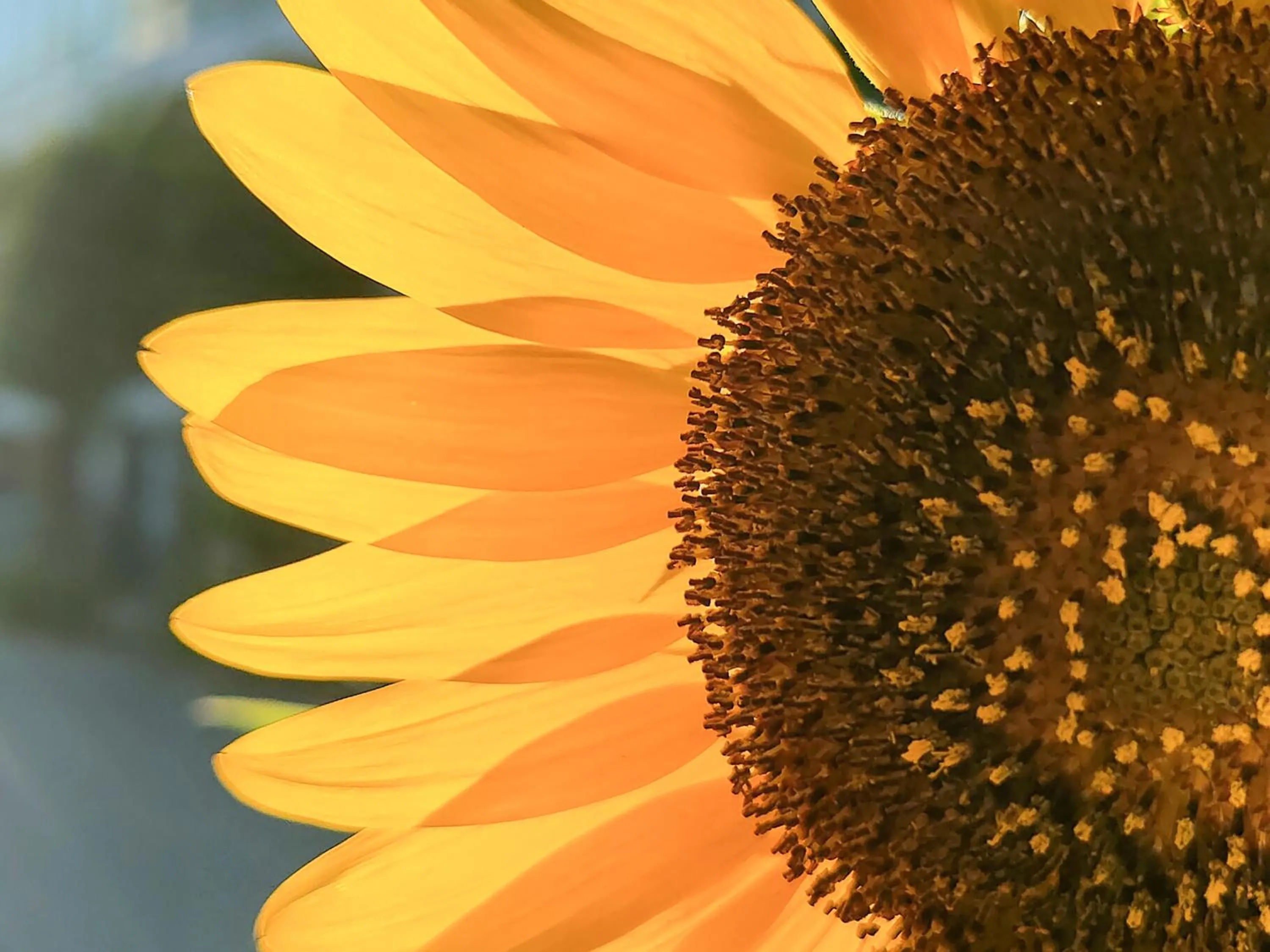 Off site in Hotel Torifito Naha Asahibashi