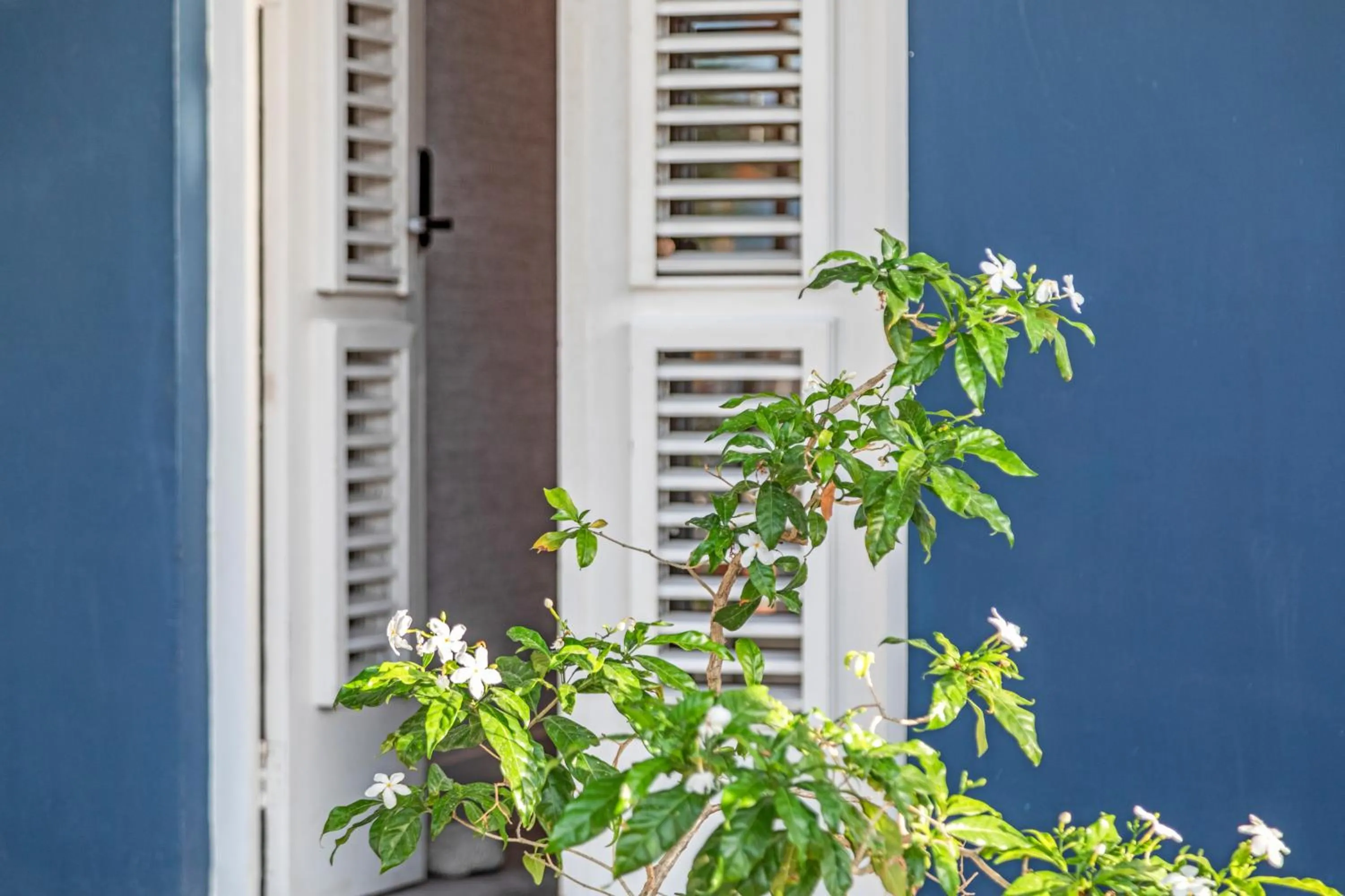 Day in PM78 Boutique Apartments