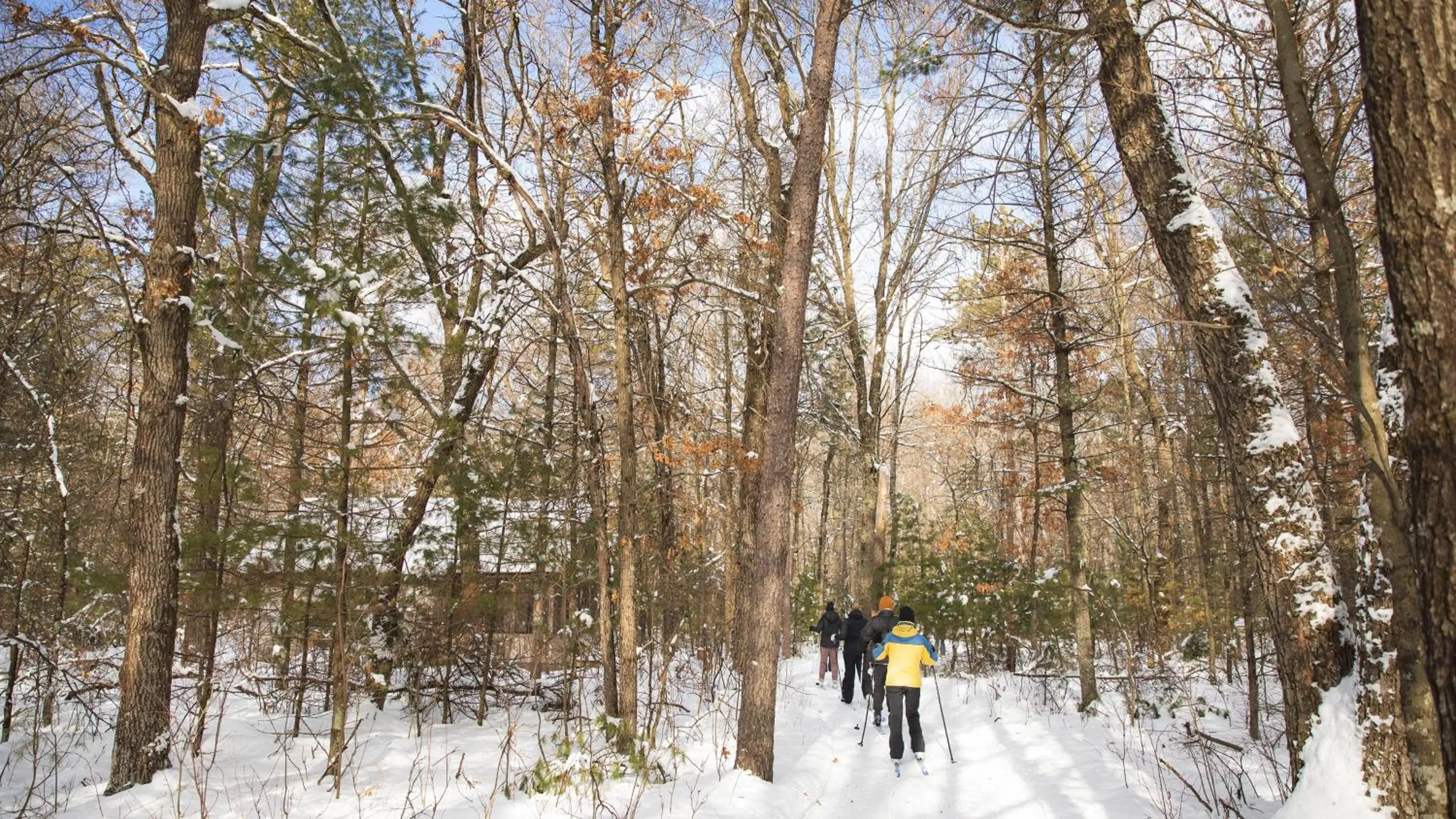 Area and facilities in Holiday Inn Eau Claire South I-94 by IHG