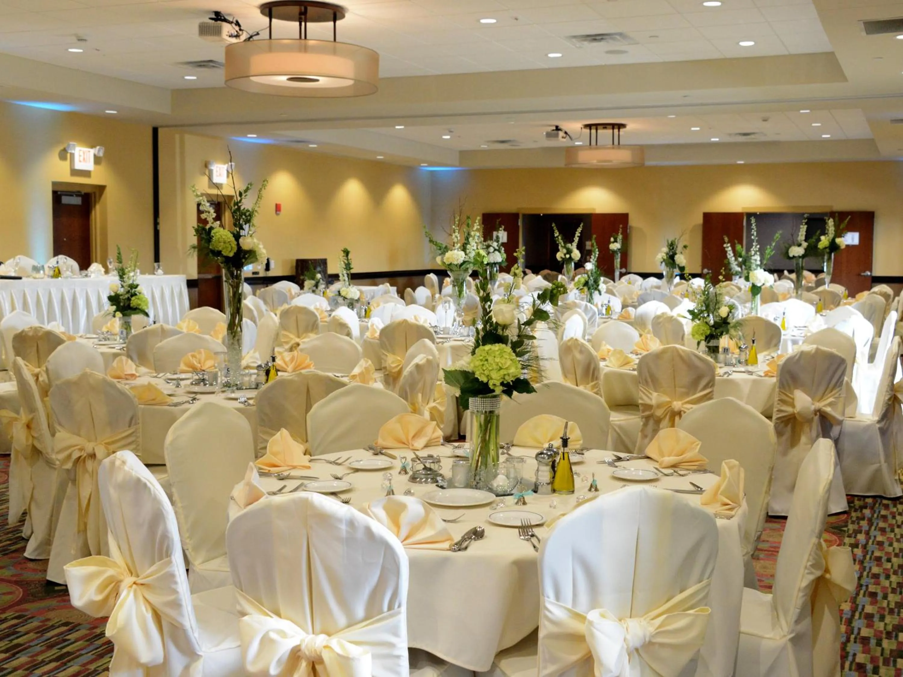 Banquet/Function facilities in Holiday Inn Eau Claire South I-94 by IHG