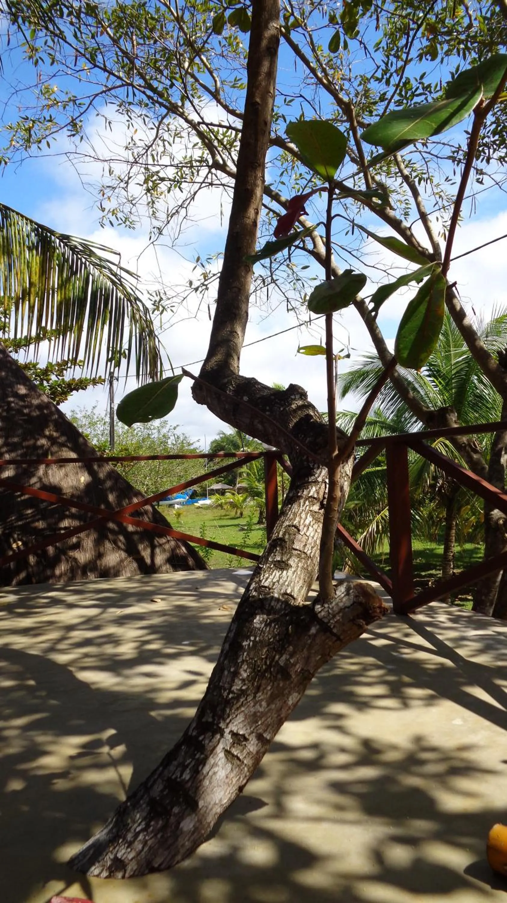 Balcony/Terrace in Pousada Boutique Recanto Do Encanto - GAMBOA - Morro de São Paulo