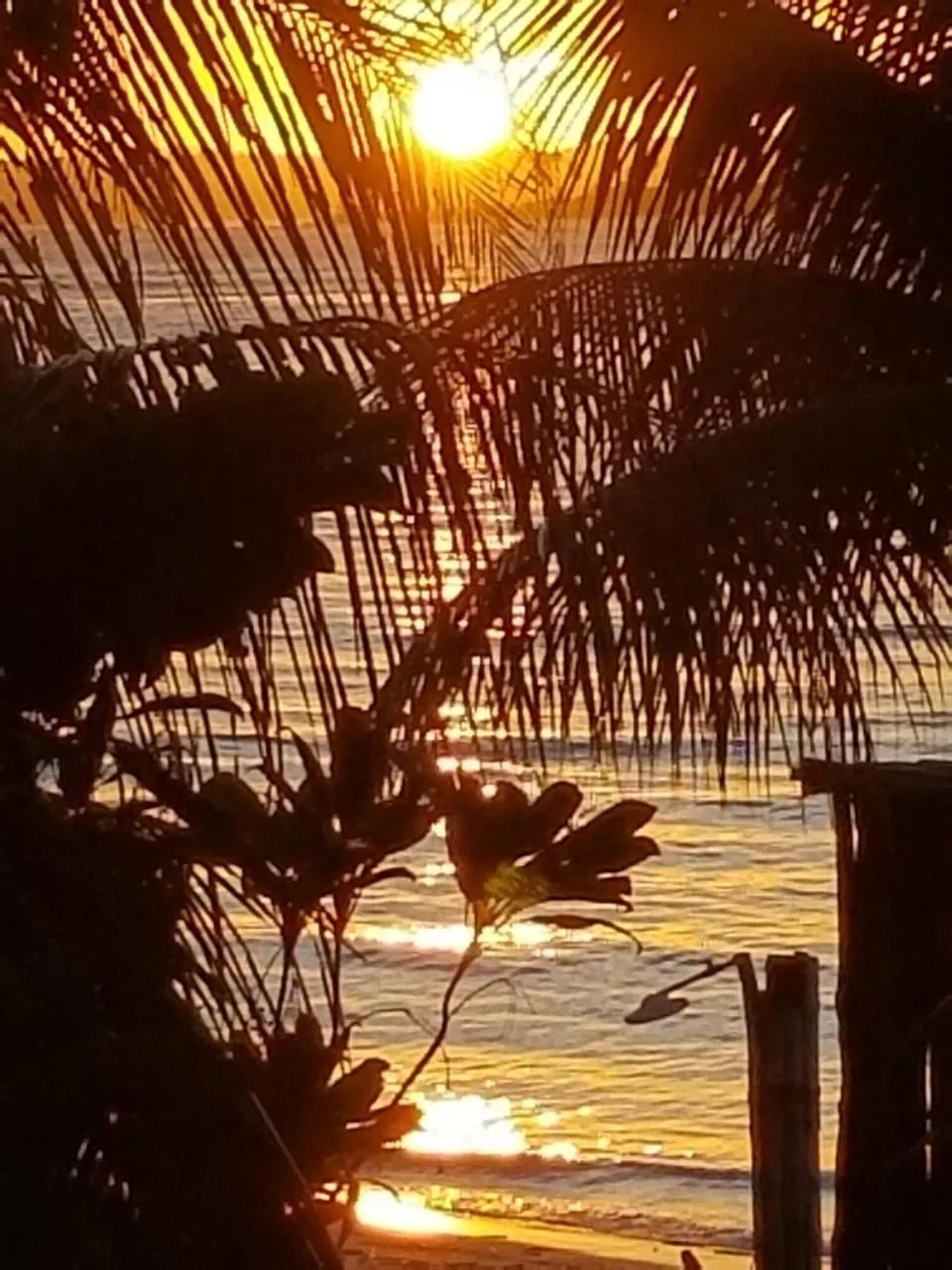Natural landscape in Pousada Boutique Recanto Do Encanto - GAMBOA - Morro de São Paulo