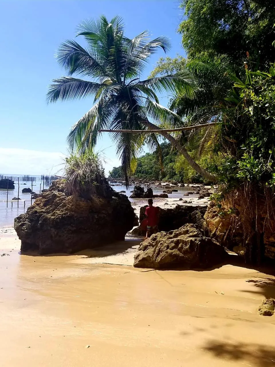 Natural landscape in Pousada Boutique Recanto Do Encanto - GAMBOA - Morro de São Paulo