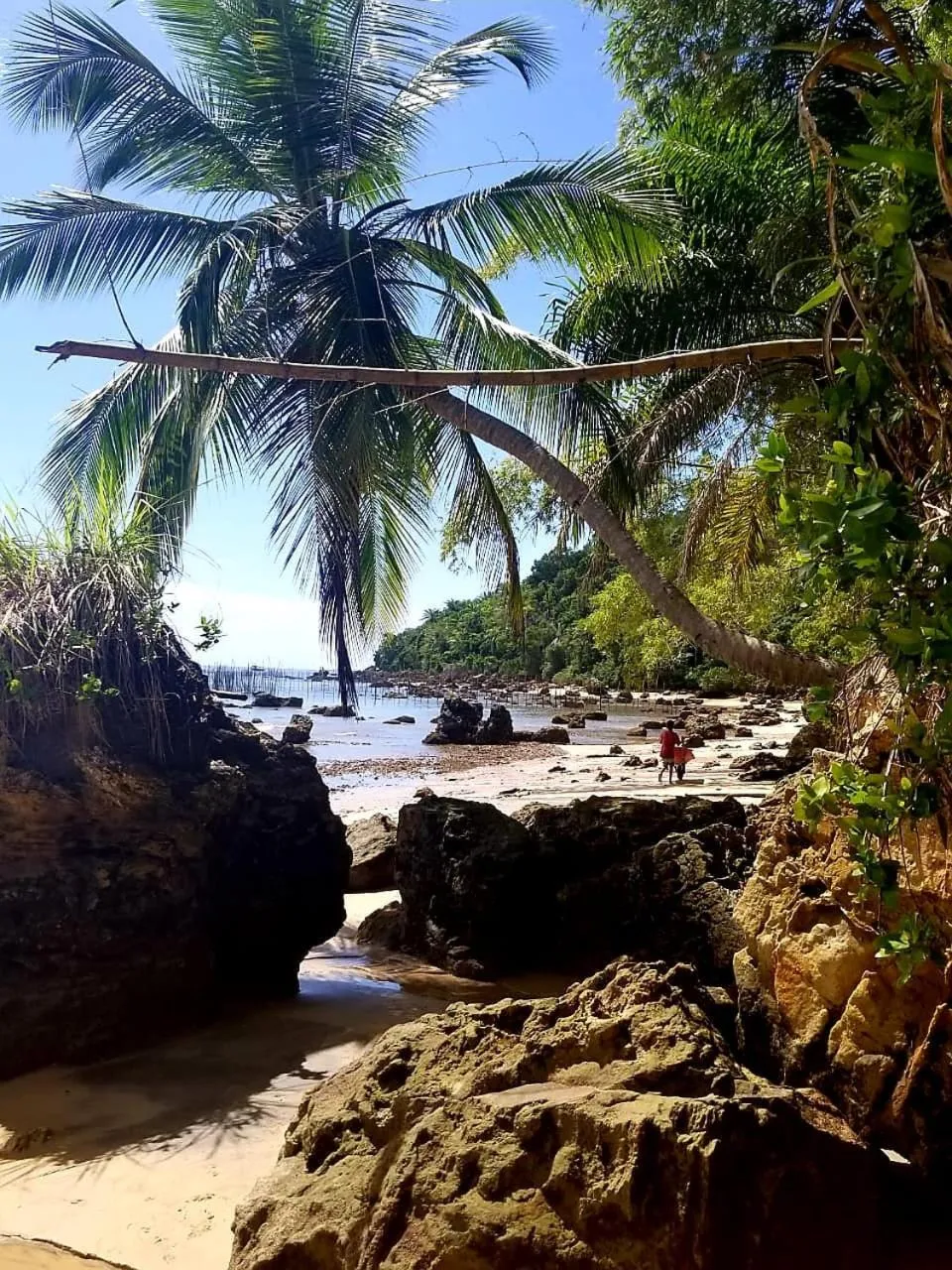 Natural landscape in Pousada Boutique Recanto Do Encanto - GAMBOA - Morro de São Paulo