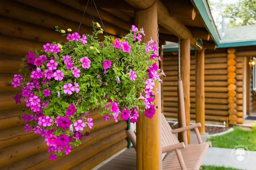 Decorative detail in Cabin Creek Inn